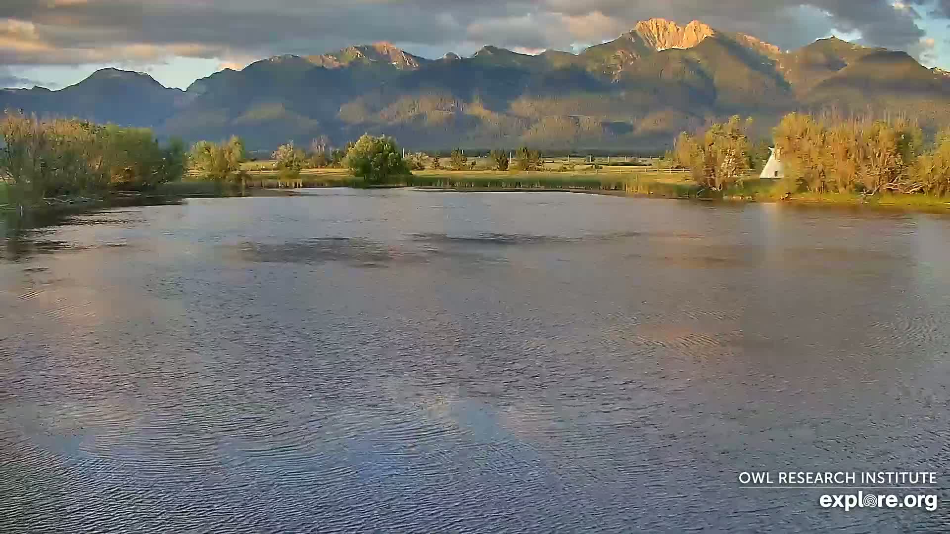 Mission Mountain Range & Mt Calowahcan View from Ninepipe Lodge Wildlife Refuge Live Cam - Charlo, Lake County, Montana, USA