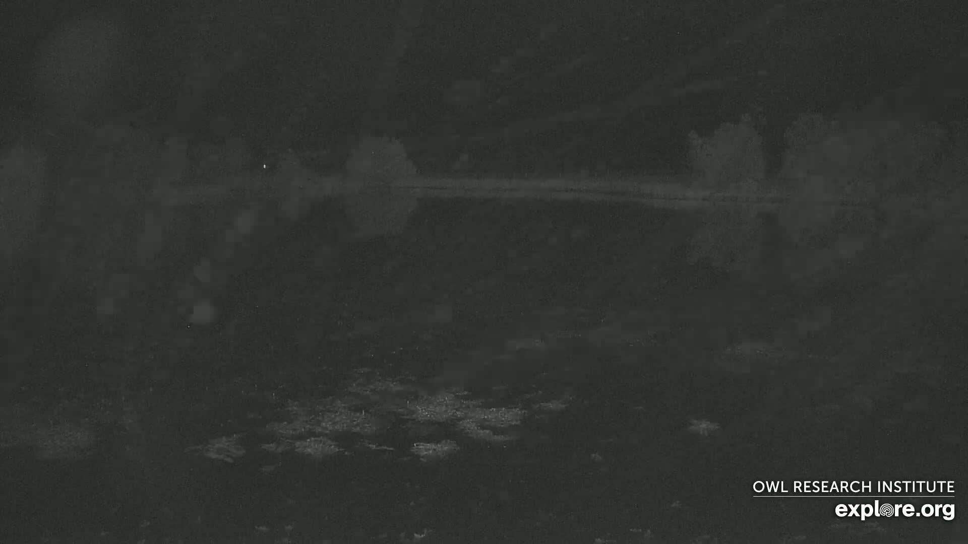 A dark, nighttime scene shows a body of water reflecting a dark shoreline with sparse, indistinct trees under a cloudy sky.
