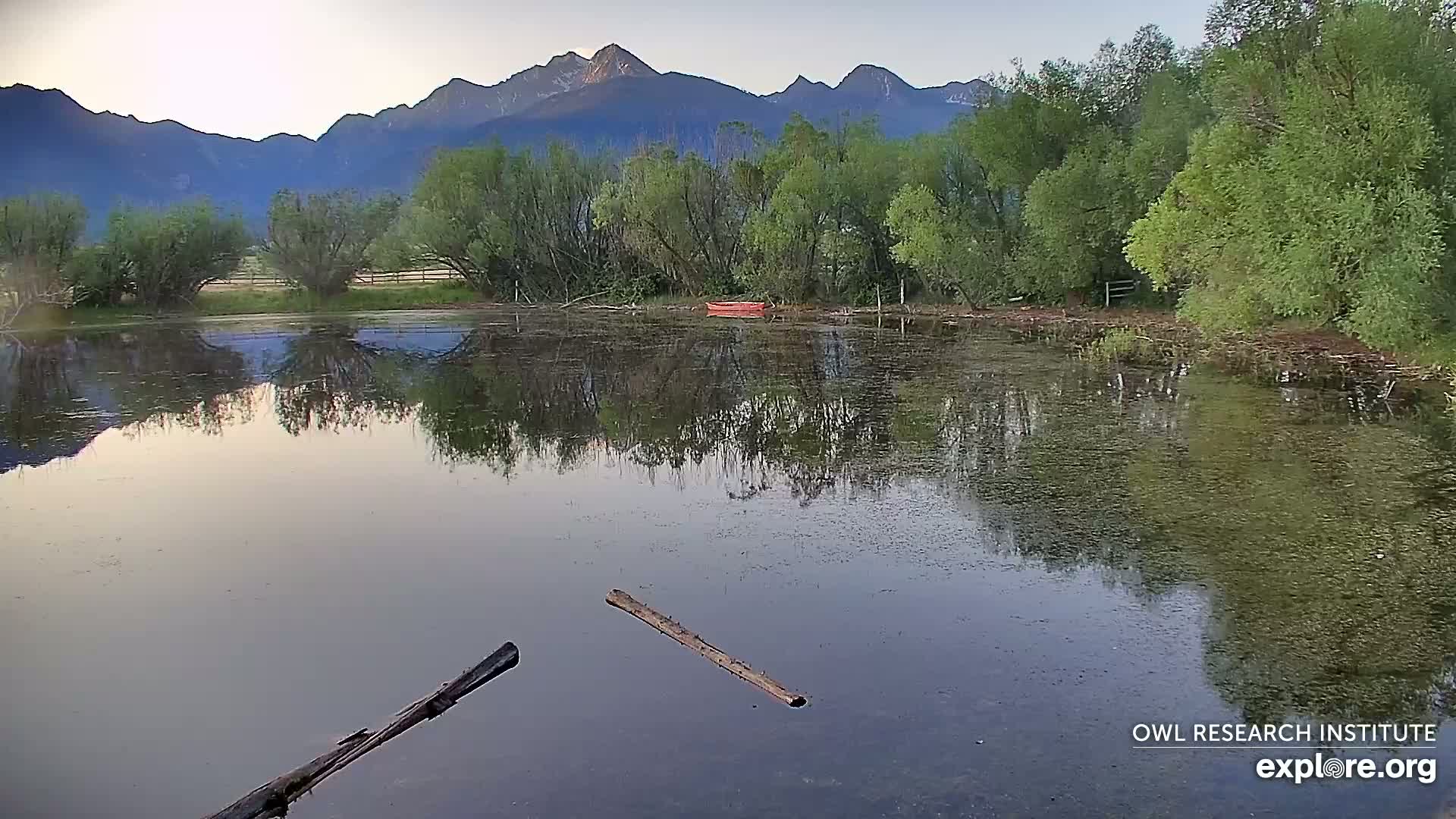 Mission Mountain Range & Mt Calowahcan View from Ninepipe Lodge Wildlife Refuge Live Cam - Charlo, Lake County, Montana, USA