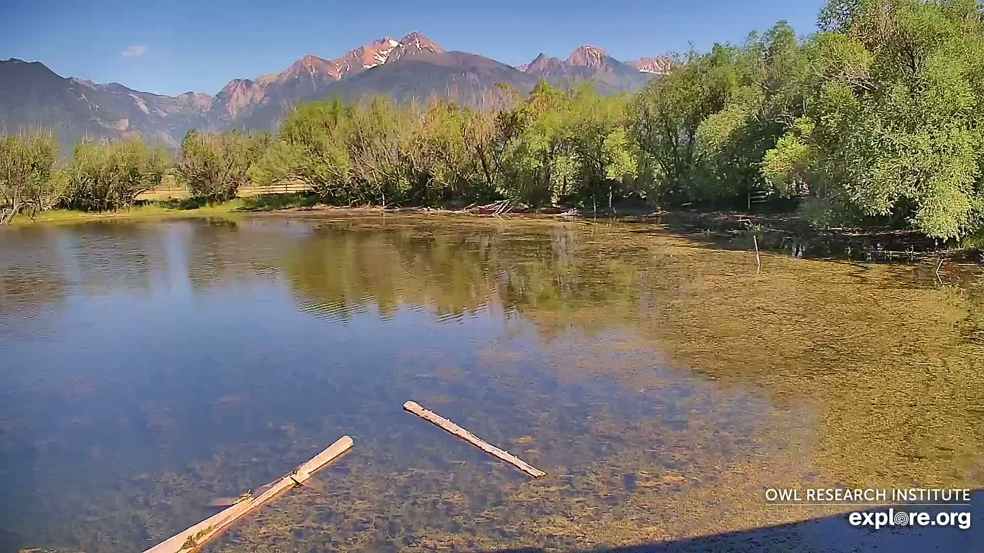 Mission Mountain Range & Mt Calowahcan View from Ninepipe Lodge Wildlife Refuge Live Cam - Charlo, Lake County, Montana, USA