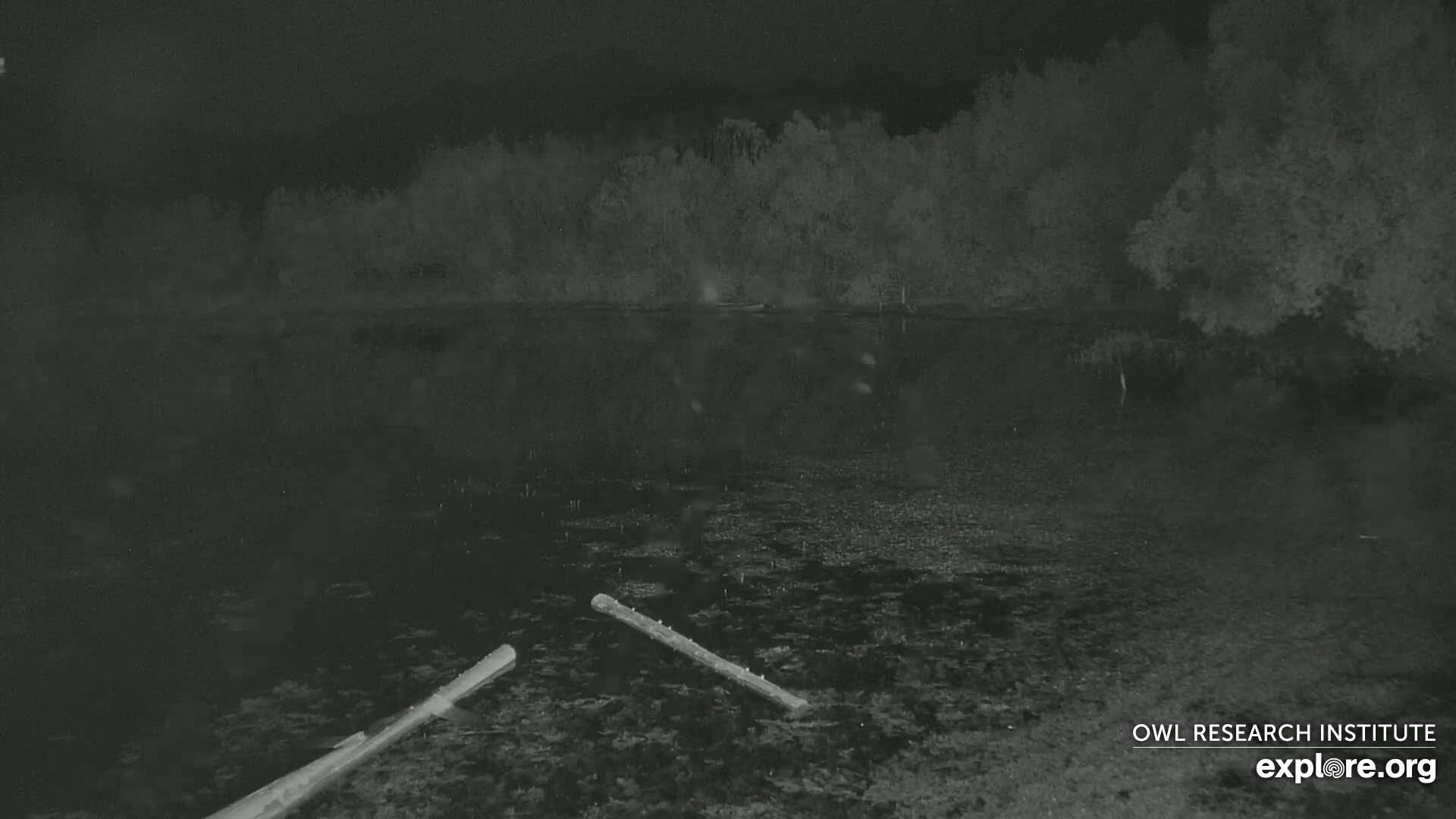 Mission Mountain Range & Mt Calowahcan View from Ninepipe Lodge Wildlife Refuge Live Cam - Charlo, Lake County, Montana, USA