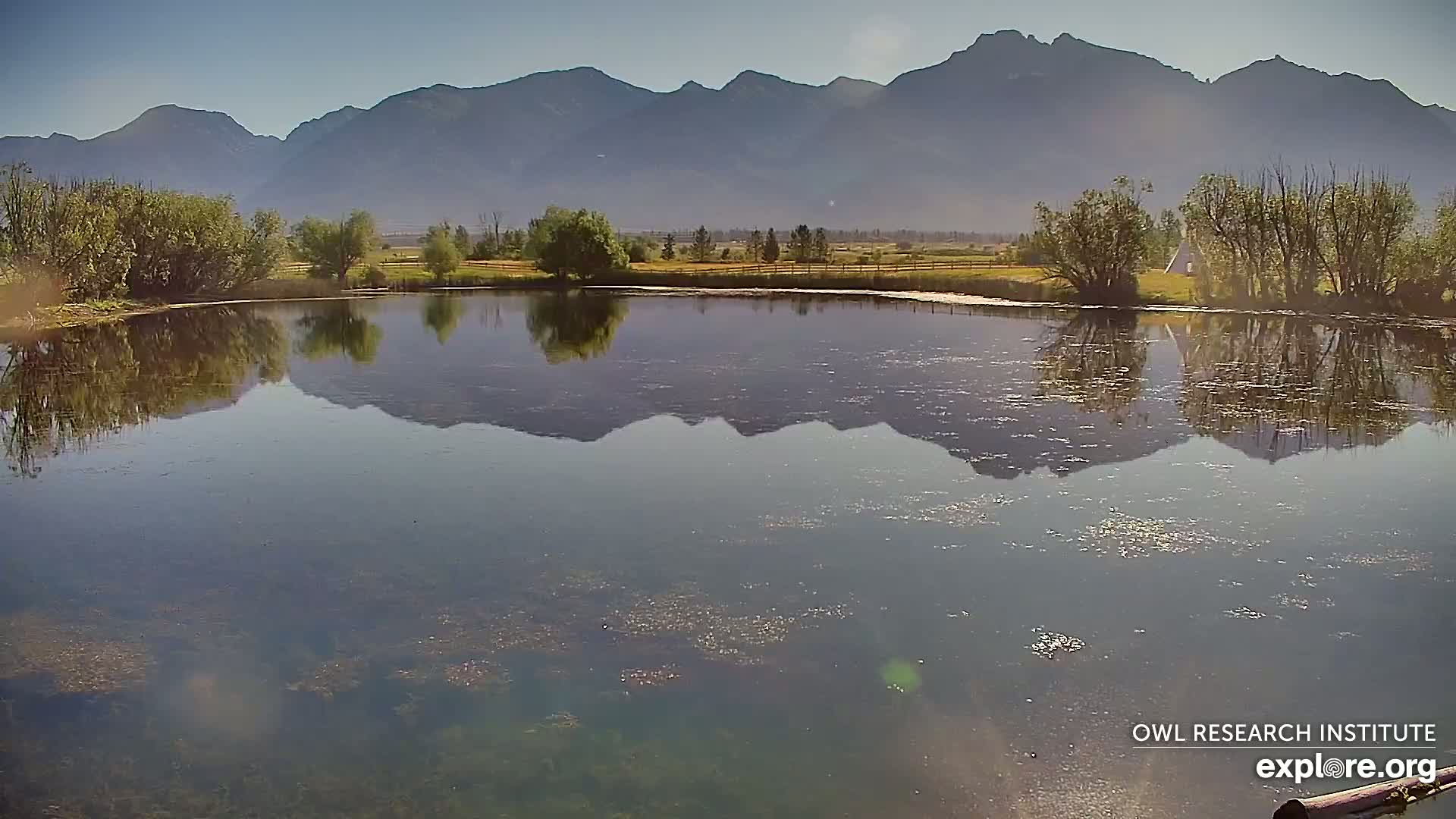 Mission Mountain Range & Mt Calowahcan View from Ninepipe Lodge Wildlife Refuge Live Cam - Charlo, Lake County, Montana, USA