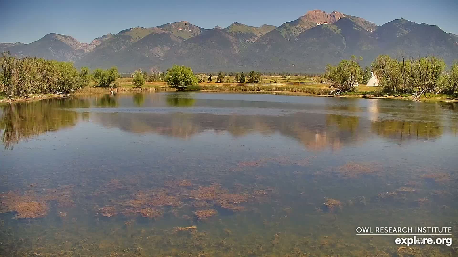 Mission Mountain Range & Mt Calowahcan View from Ninepipe Lodge Wildlife Refuge Live Cam - Charlo, Lake County, Montana, USA