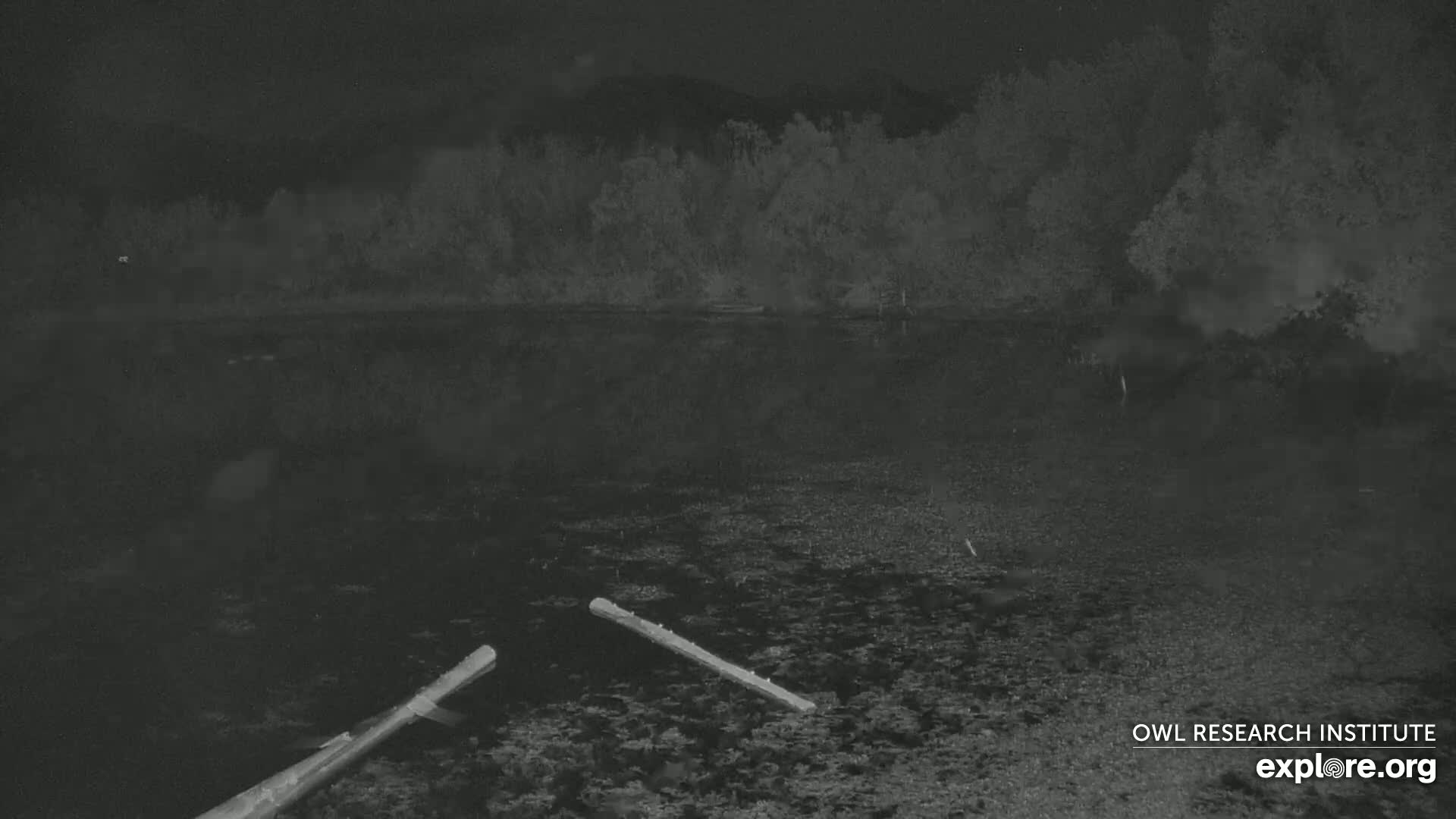 Mission Mountain Range & Mt Calowahcan View from Ninepipe Lodge Wildlife Refuge Live Cam - Charlo, Lake County, Montana, USA
