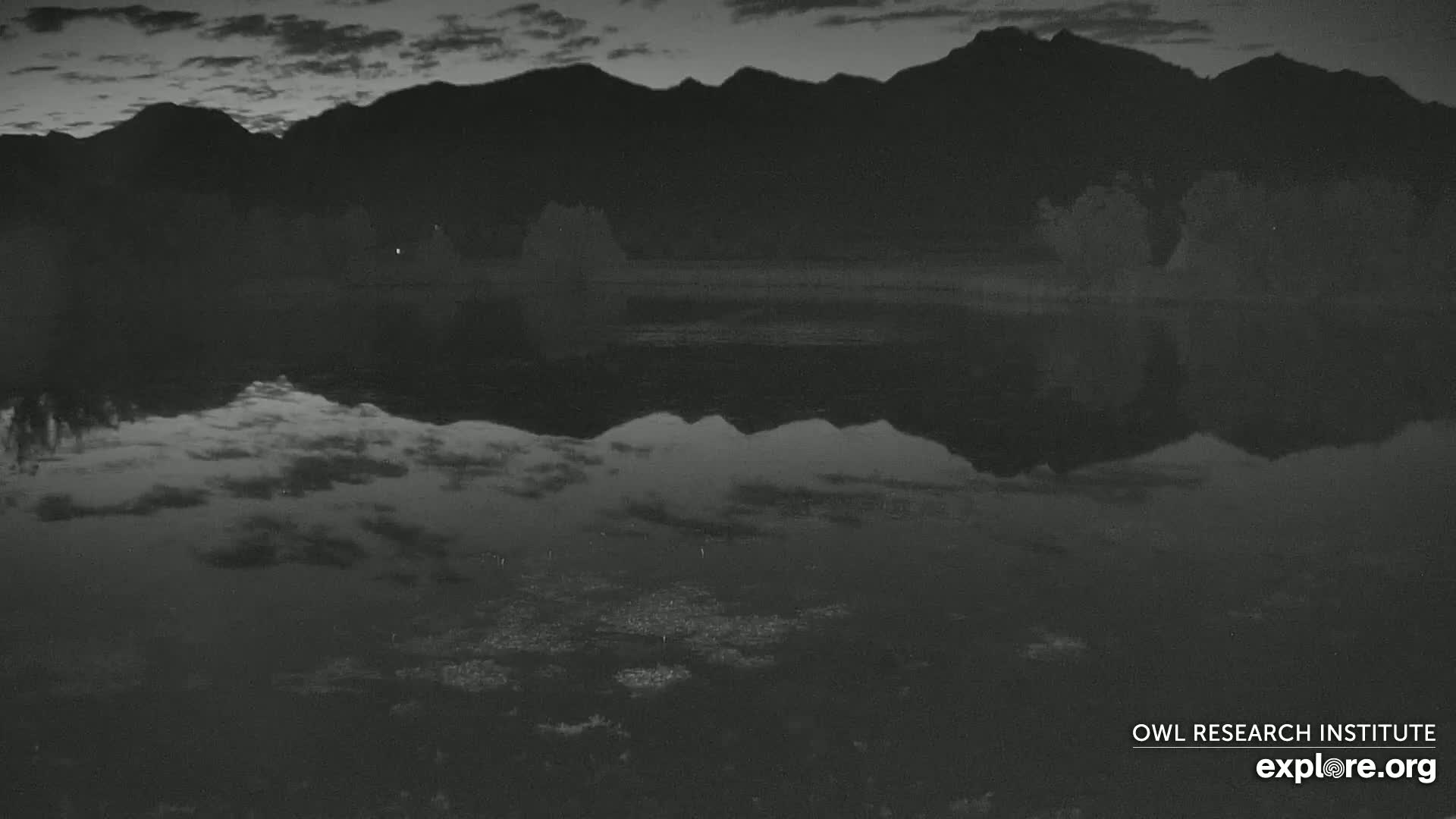 Mission Mountain Range & Mt Calowahcan View from Ninepipe Lodge Wildlife Refuge Live Cam - Charlo, Lake County, Montana, USA