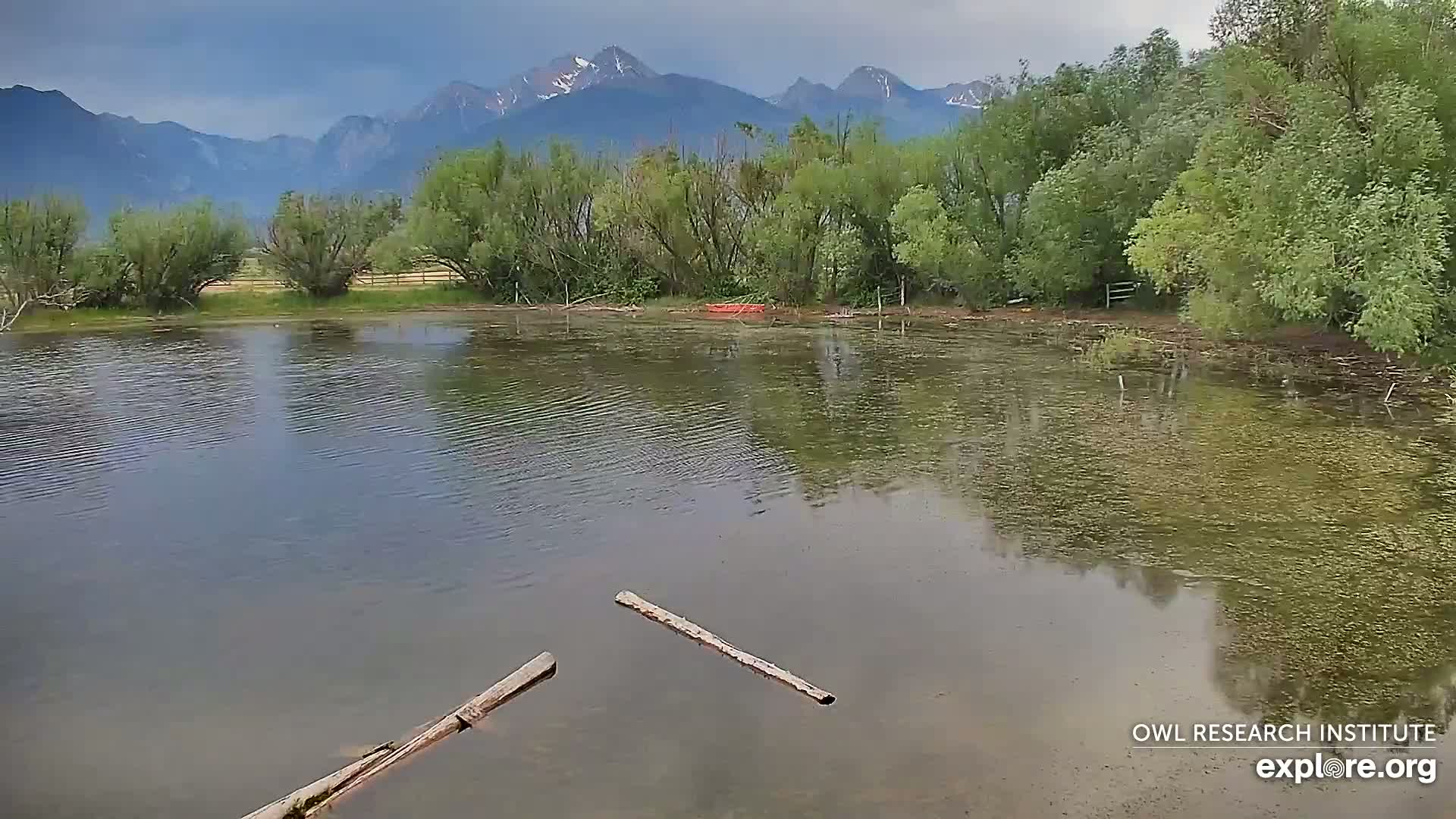 Mission Mountain Range & Mt Calowahcan View from Ninepipe Lodge Wildlife Refuge Live Cam - Charlo, Lake County, Montana, USA