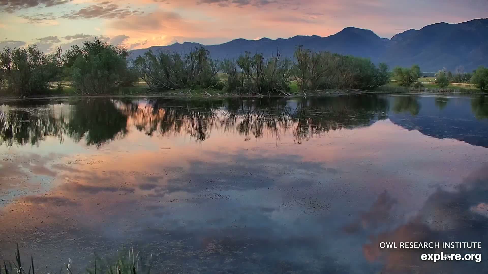 Mission Mountain Range & Mt Calowahcan View from Ninepipe Lodge Wildlife Refuge Live Cam - Charlo, Lake County, Montana, USA