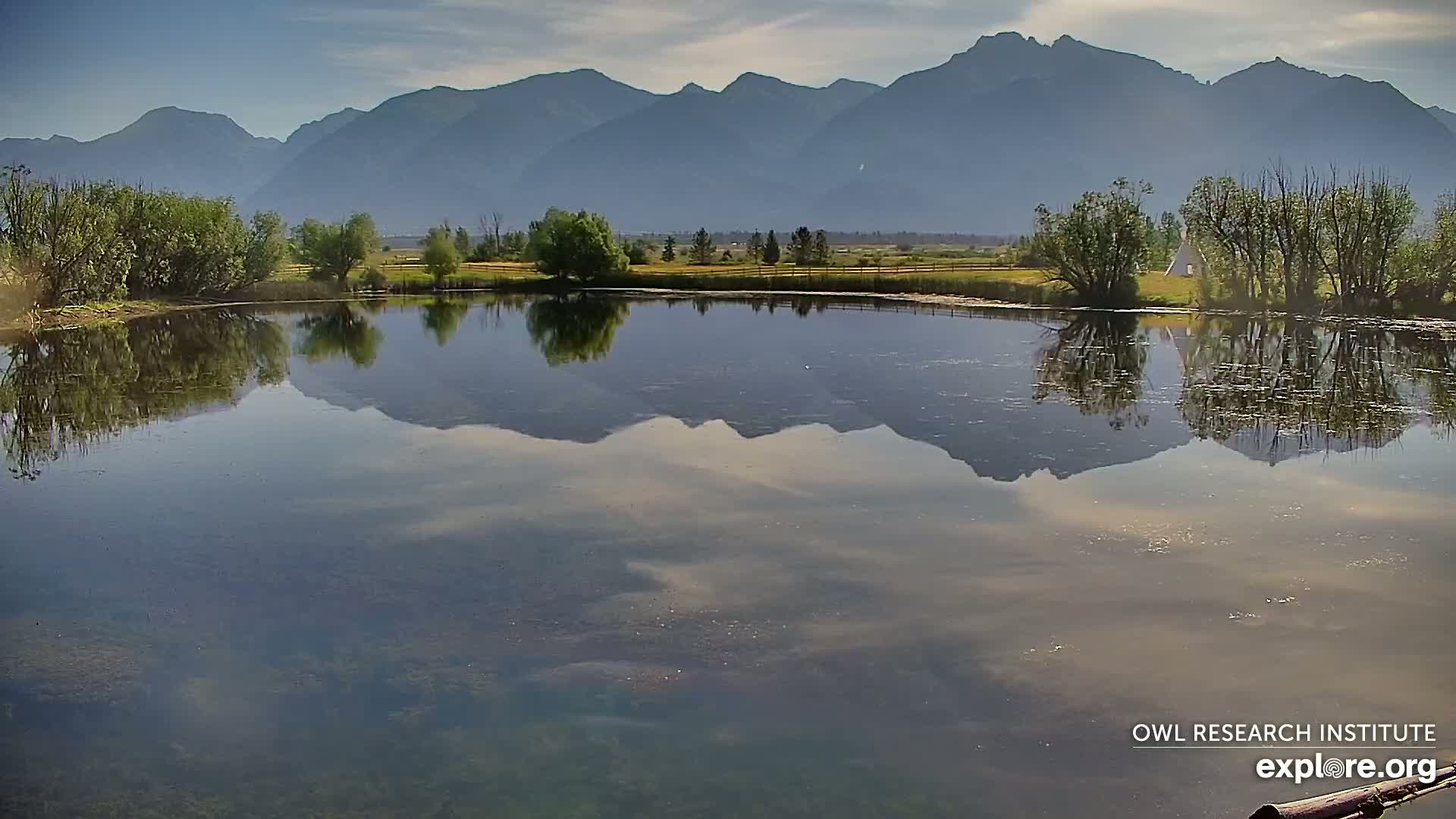 Mission Mountain Range & Mt Calowahcan View from Ninepipe Lodge Wildlife Refuge Live Cam - Charlo, Lake County, Montana, USA