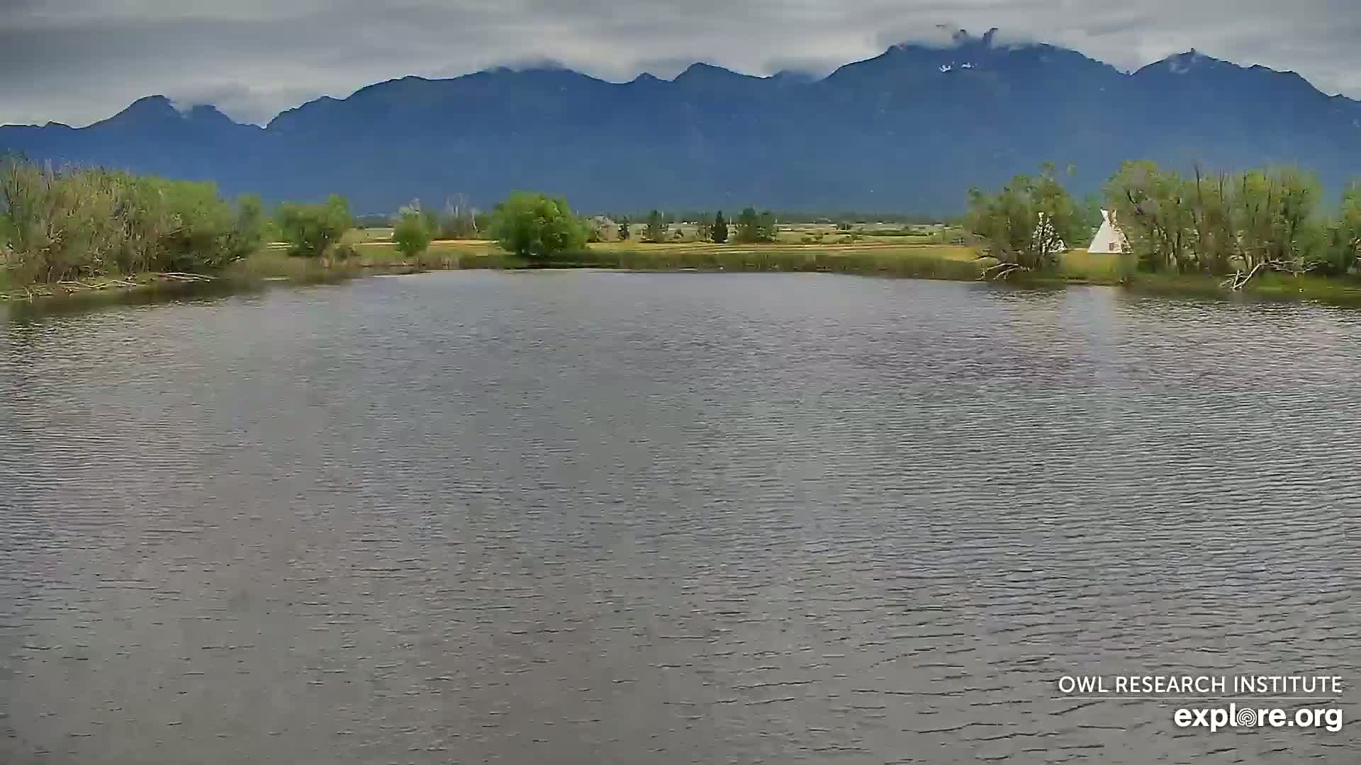 Mission Mountain Range & Mt Calowahcan View from Ninepipe Lodge Wildlife Refuge Live Cam - Charlo, Lake County, Montana, USA