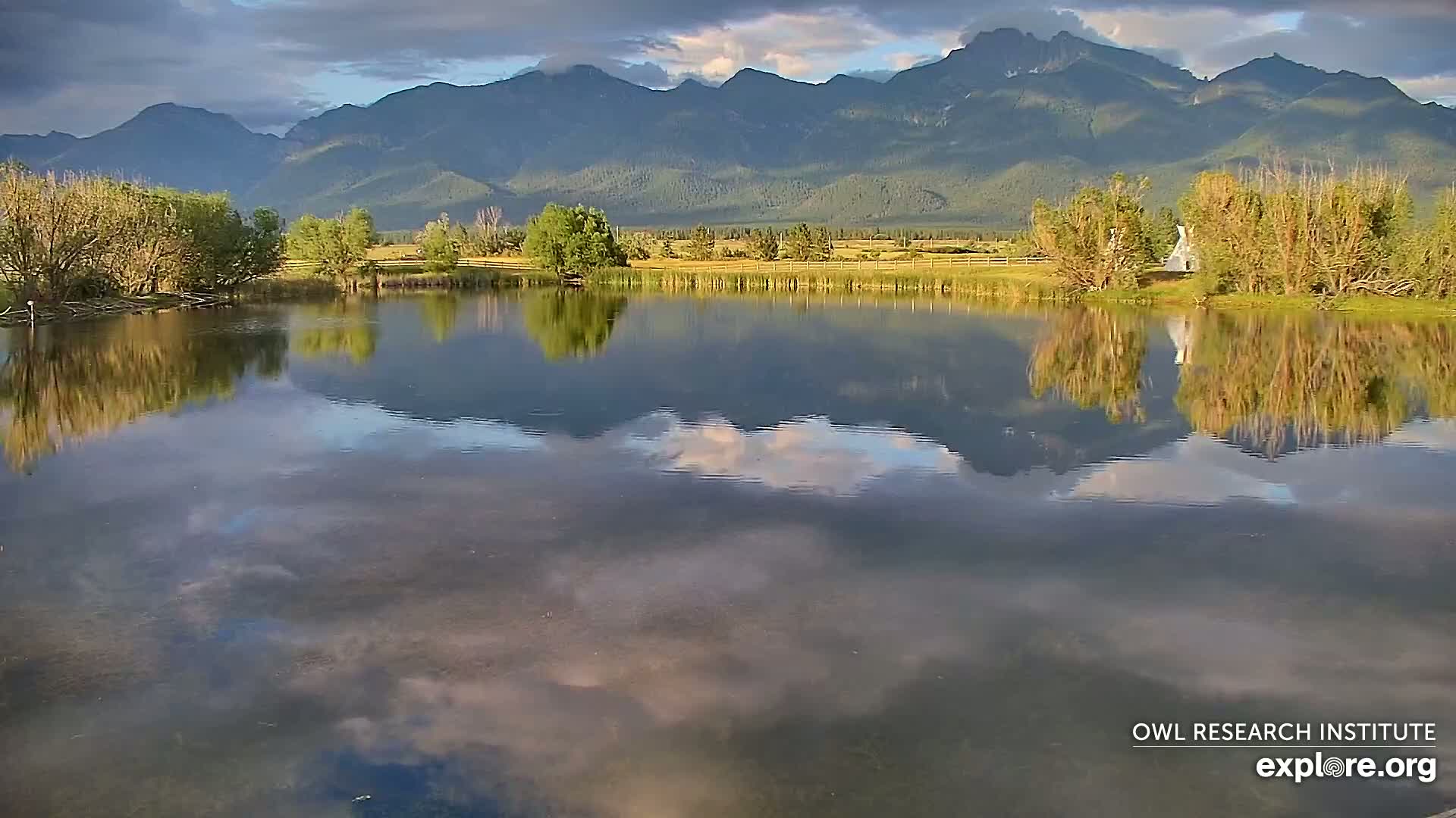 Mission Mountain Range & Mt Calowahcan View from Ninepipe Lodge Wildlife Refuge Live Cam - Charlo, Lake County, Montana, USA