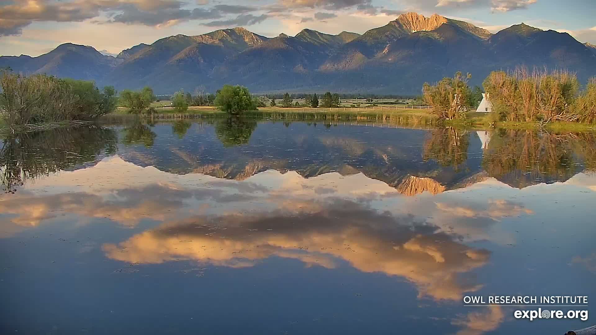 Mission Mountain Range & Mt Calowahcan View from Ninepipe Lodge Wildlife Refuge Live Cam - Charlo, Lake County, Montana, USA