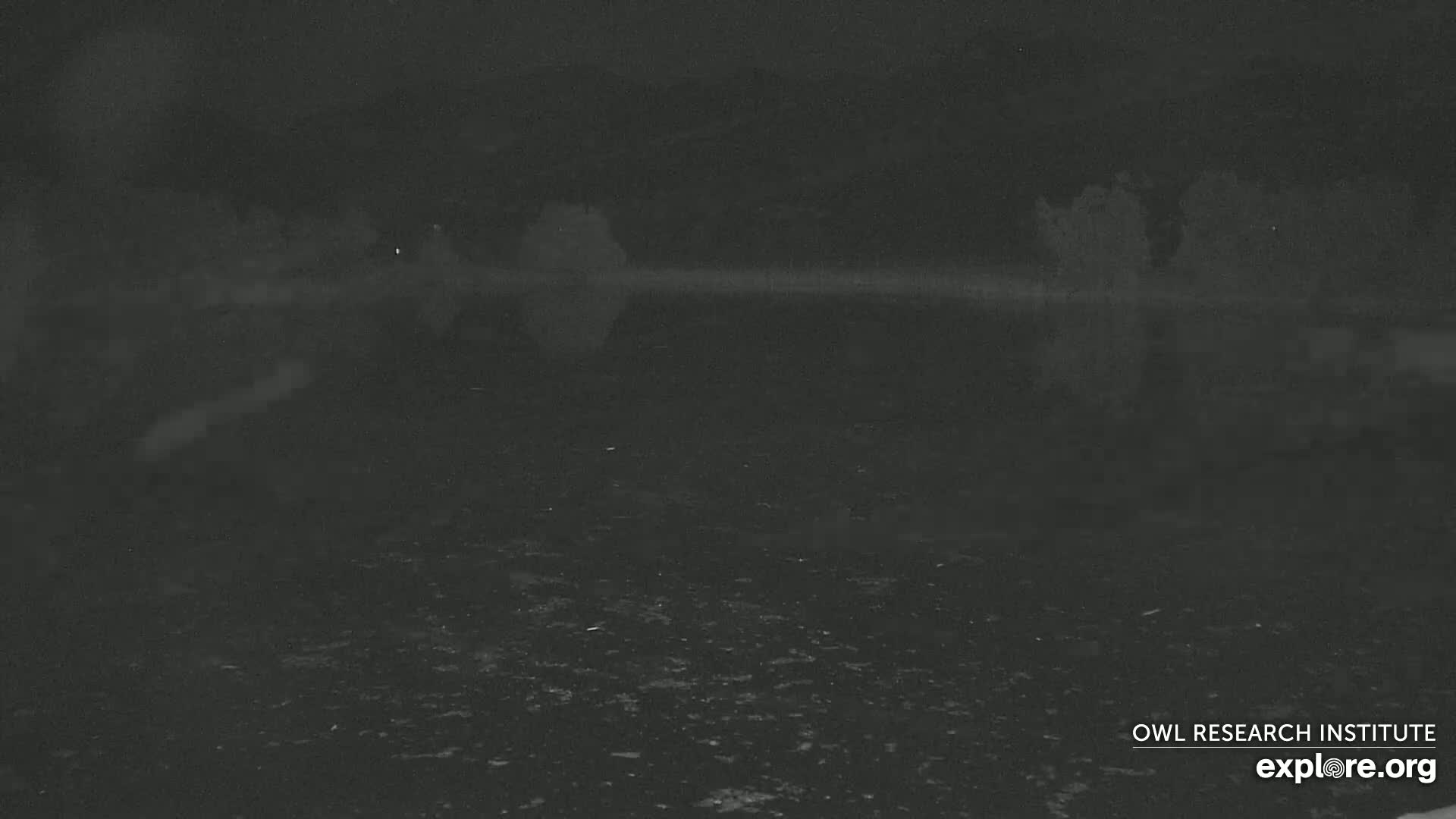 Mission Mountain Range & Mt Calowahcan View from Ninepipe Lodge Wildlife Refuge Live Cam - Charlo, Lake County, Montana, USA