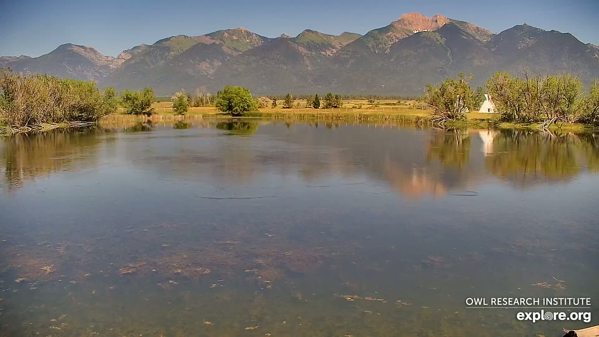 Mission Mountain Range & Mt Calowahcan View from Ninepipe Lodge Wildlife Refuge Live Cam - Charlo, Lake County, Montana, USA
