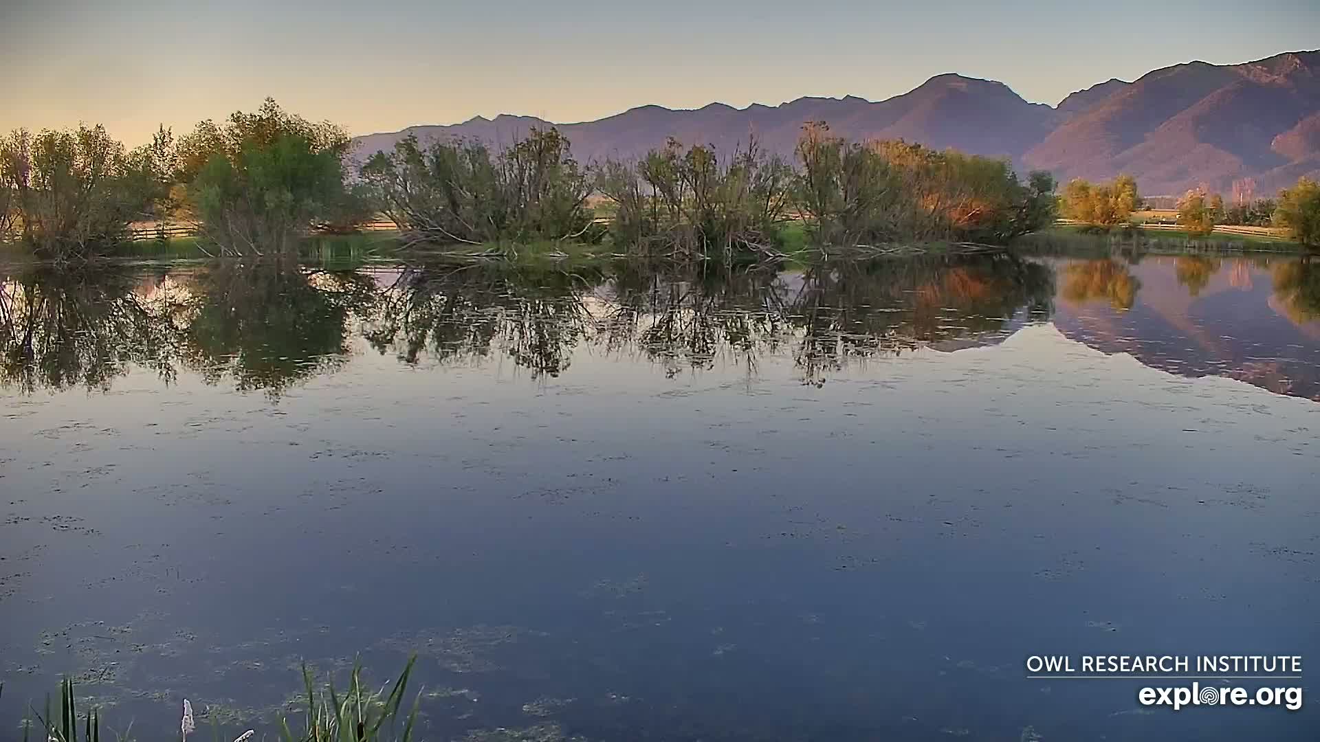 Mission Mountain Range & Mt Calowahcan View from Ninepipe Lodge Wildlife Refuge Live Cam - Charlo, Lake County, Montana, USA