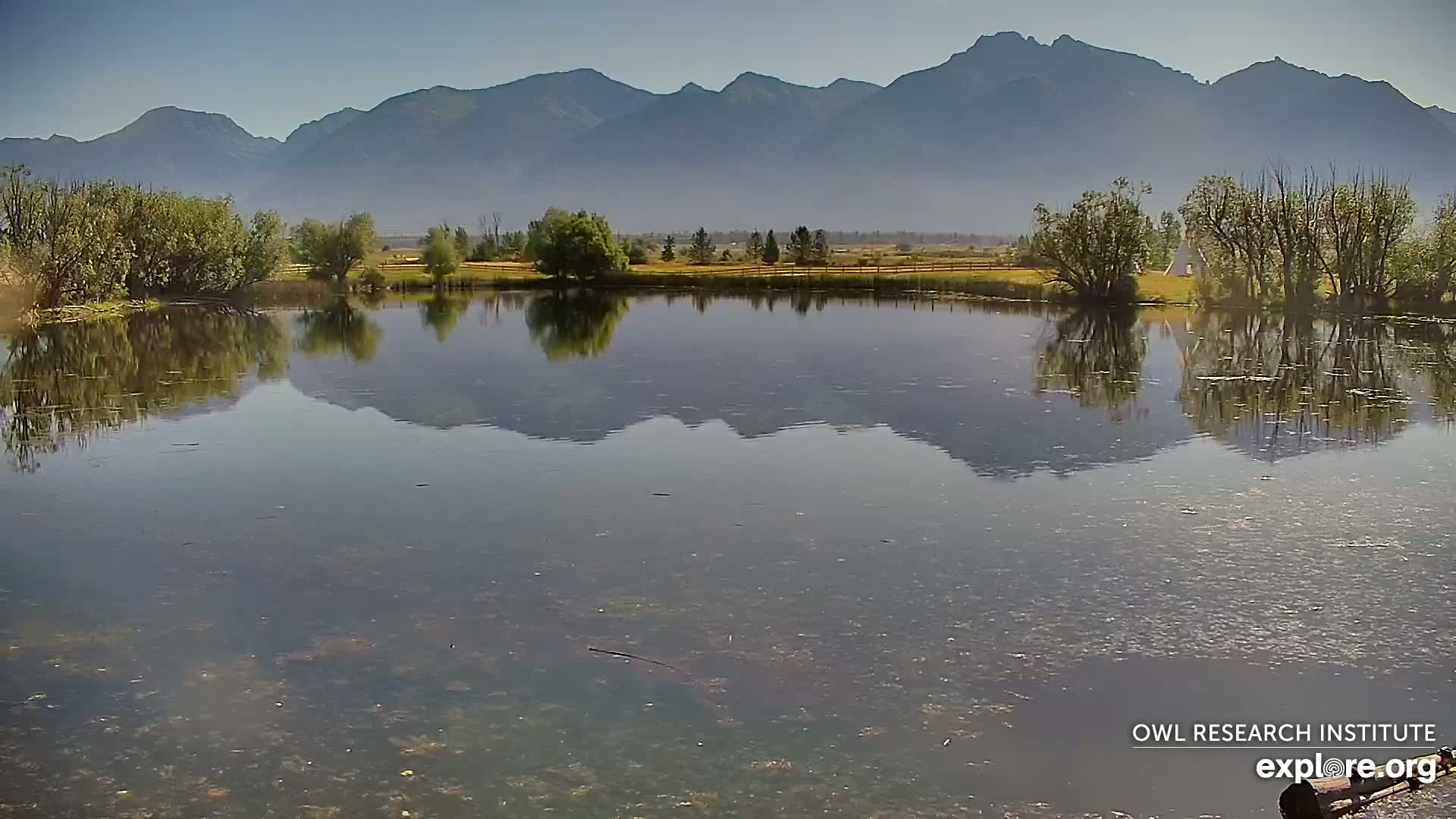 Mission Mountain Range & Mt Calowahcan View from Ninepipe Lodge Wildlife Refuge Live Cam - Charlo, Lake County, Montana, USA