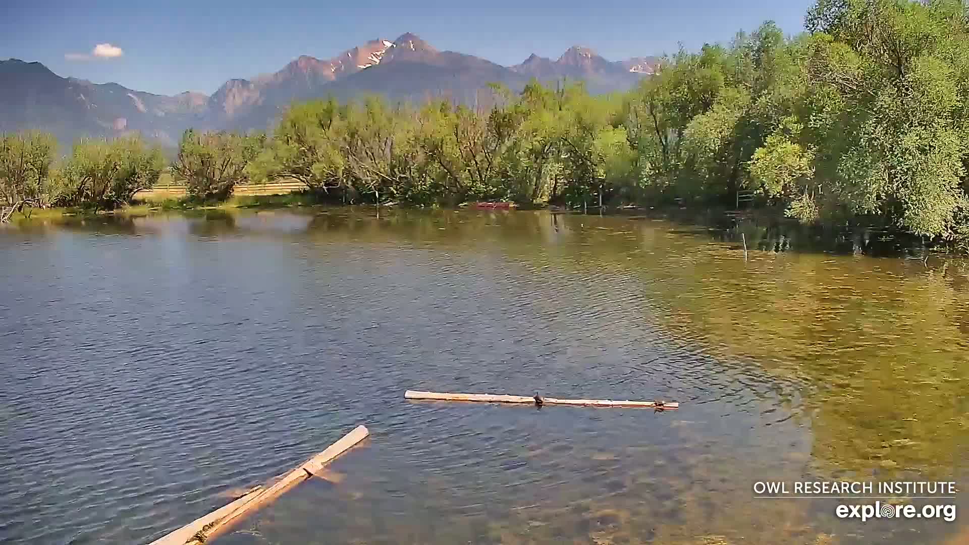 Mission Mountain Range & Mt Calowahcan View from Ninepipe Lodge Wildlife Refuge Live Cam - Charlo, Lake County, Montana, USA