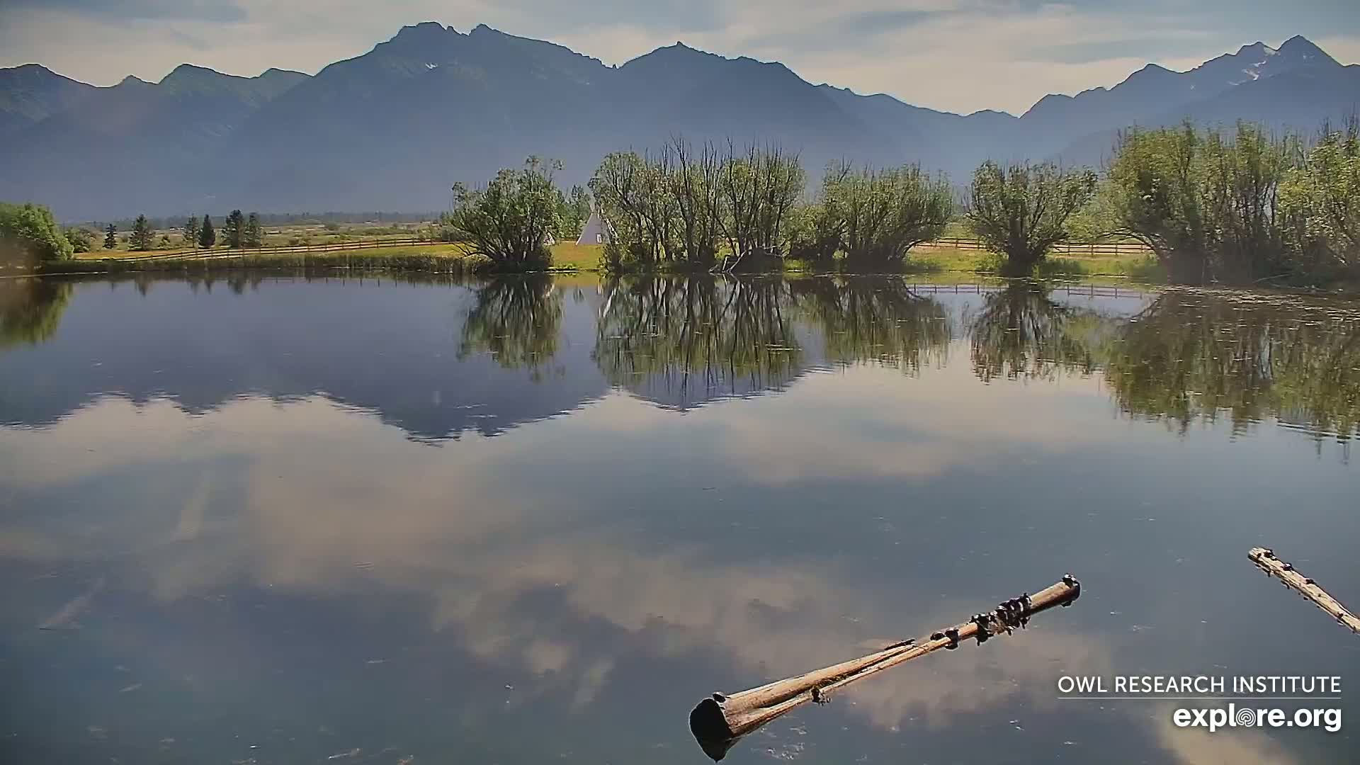 Mission Mountain Range & Mt Calowahcan View from Ninepipe Lodge Wildlife Refuge Live Cam - Charlo, Lake County, Montana, USA