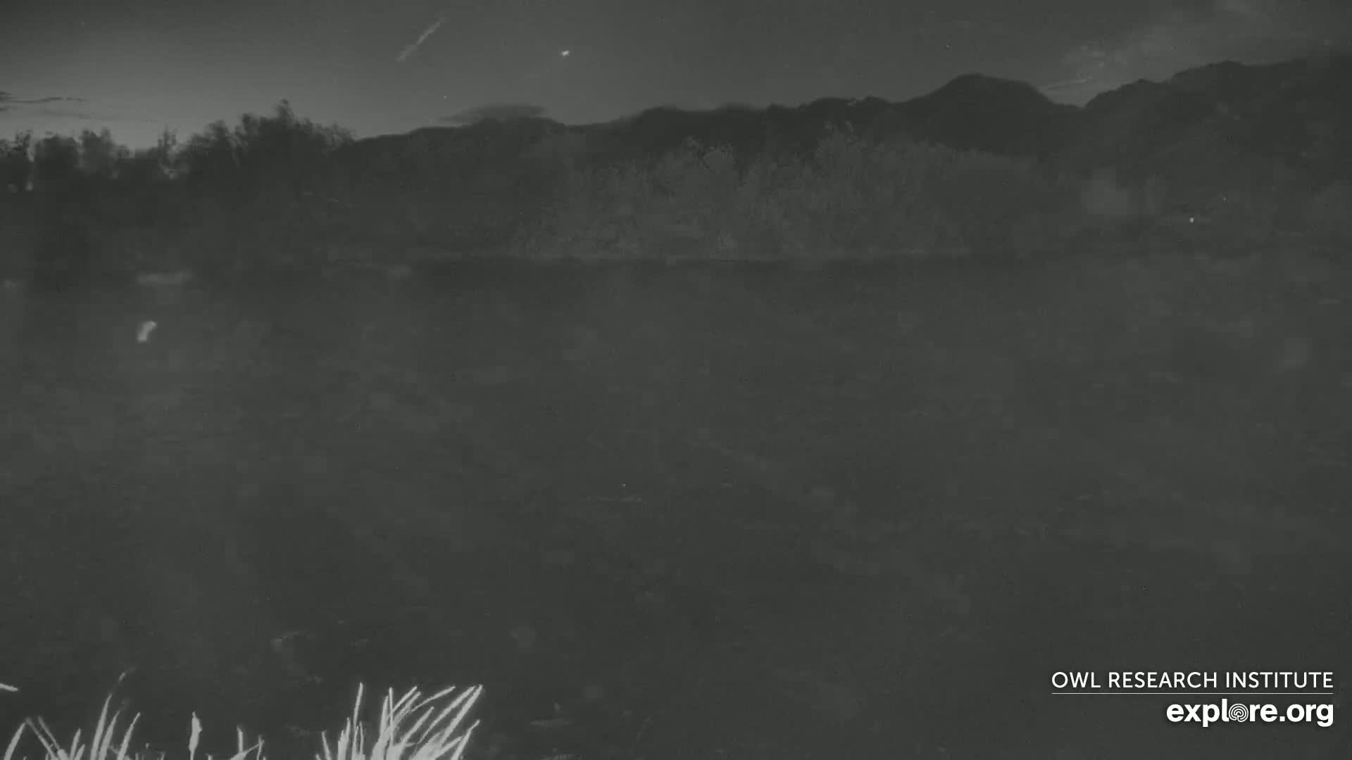 Mission Mountain Range & Mt Calowahcan View from Ninepipe Lodge Wildlife Refuge Live Cam - Charlo, Lake County, Montana, USA