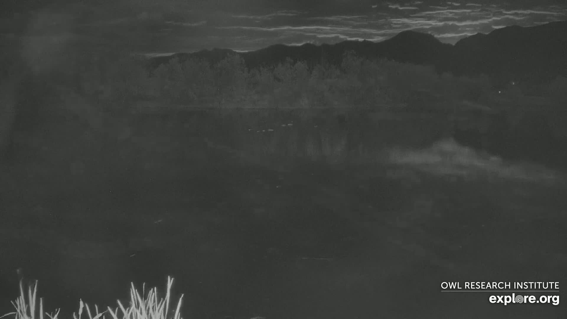 Mission Mountain Range & Mt Calowahcan View from Ninepipe Lodge Wildlife Refuge Live Cam - Charlo, Lake County, Montana, USA