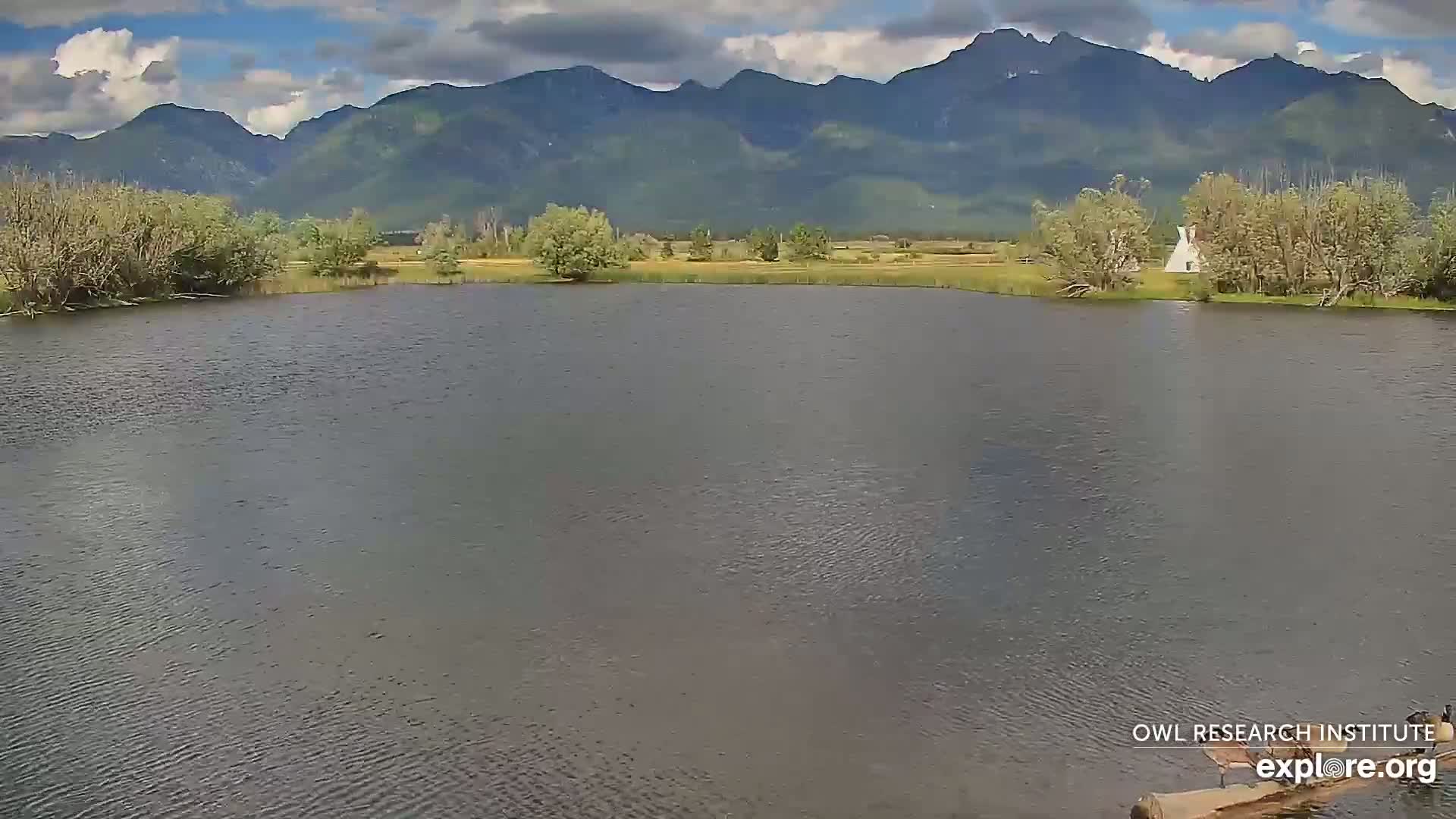Mission Mountain Range & Mt Calowahcan View from Ninepipe Lodge Wildlife Refuge Live Cam - Charlo, Lake County, Montana, USA