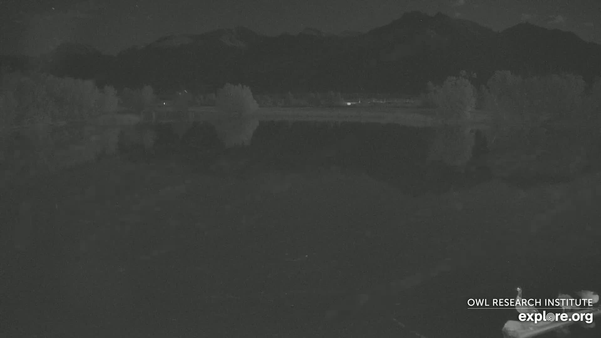 Mission Mountain Range & Mt Calowahcan View from Ninepipe Lodge Wildlife Refuge Live Cam - Charlo, Lake County, Montana, USA