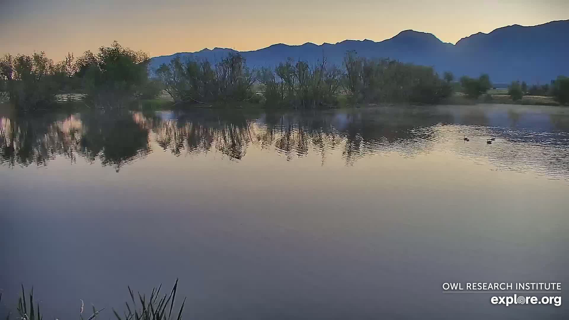 Mission Mountain Range & Mt Calowahcan View from Ninepipe Lodge Wildlife Refuge Live Cam - Charlo, Lake County, Montana, USA