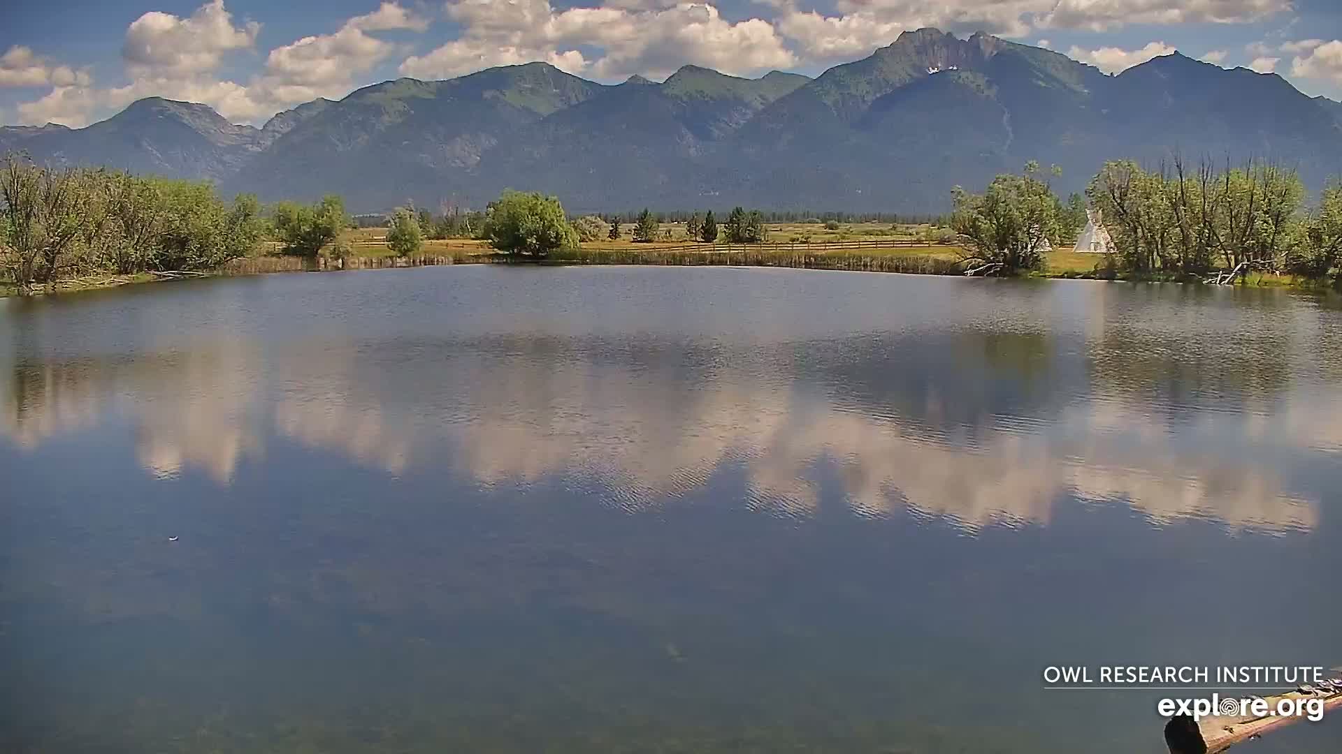 Mission Mountain Range & Mt Calowahcan View from Ninepipe Lodge Wildlife Refuge Live Cam - Charlo, Lake County, Montana, USA