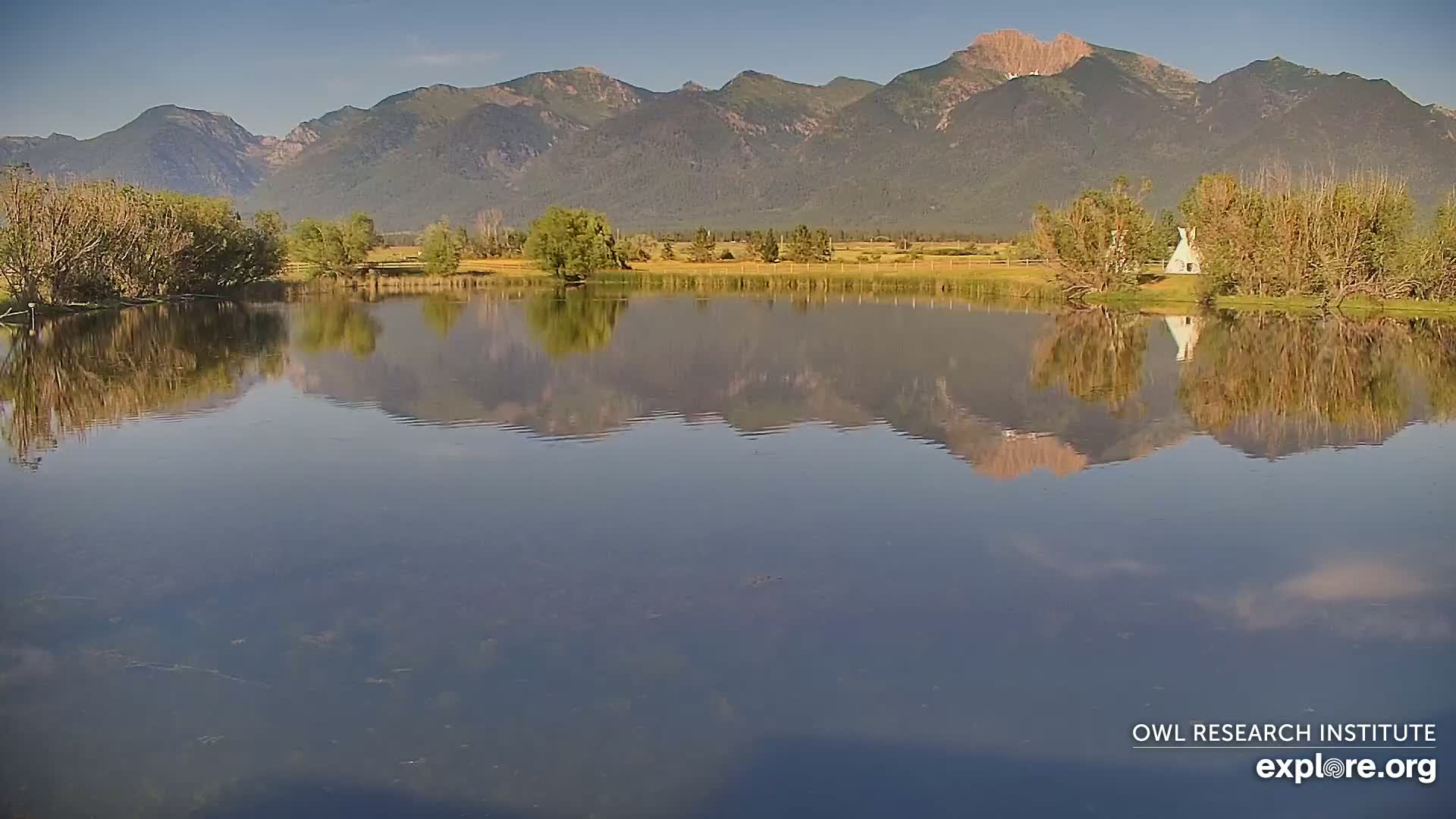 Mission Mountain Range & Mt Calowahcan View from Ninepipe Lodge Wildlife Refuge Live Cam - Charlo, Lake County, Montana, USA