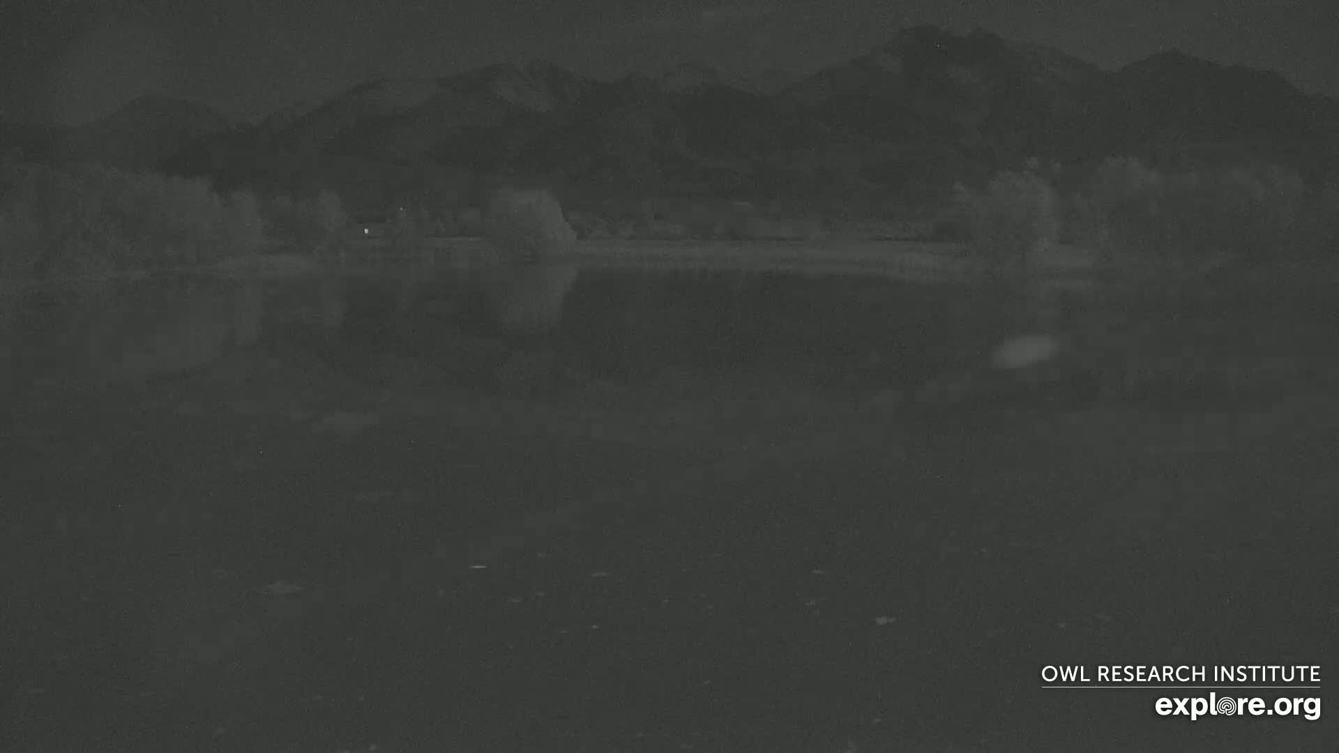 A dark, nighttime scene shows a body of still water reflecting a dark shoreline and distant mountains under a moonless sky.