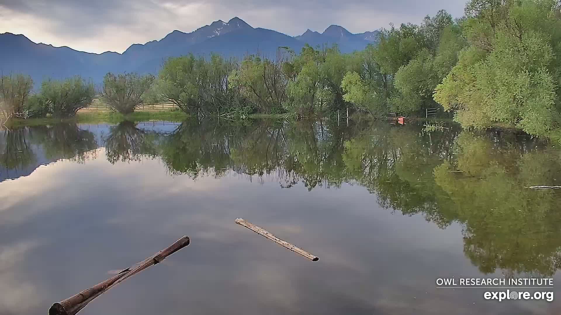 Mission Mountain Range & Mt Calowahcan View from Ninepipe Lodge Wildlife Refuge Live Cam - Charlo, Lake County, Montana, USA