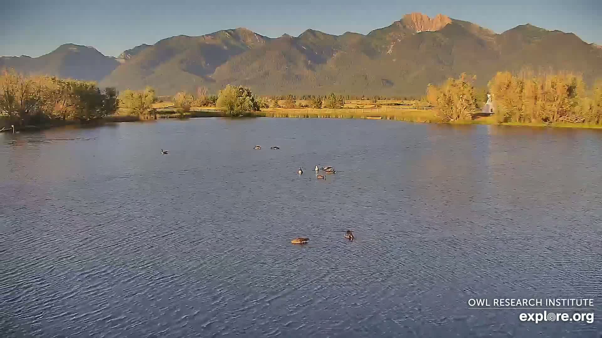 Mission Mountain Range & Mt Calowahcan View from Ninepipe Lodge Wildlife Refuge Live Cam - Charlo, Lake County, Montana, USA