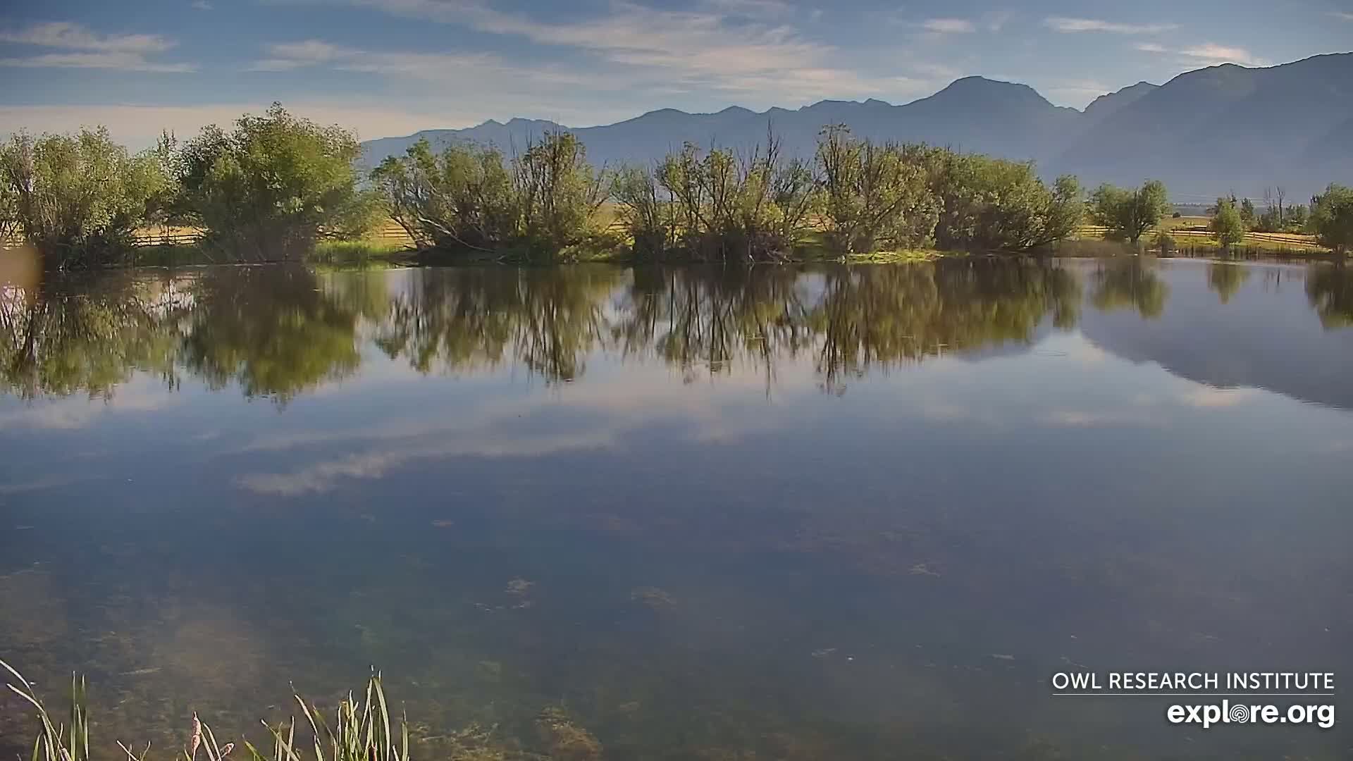 Mission Mountain Range & Mt Calowahcan View from Ninepipe Lodge Wildlife Refuge Live Cam - Charlo, Lake County, Montana, USA