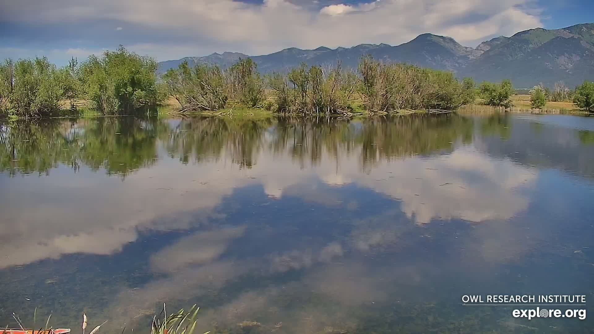 Mission Mountain Range & Mt Calowahcan View from Ninepipe Lodge Wildlife Refuge Live Cam - Charlo, Lake County, Montana, USA
