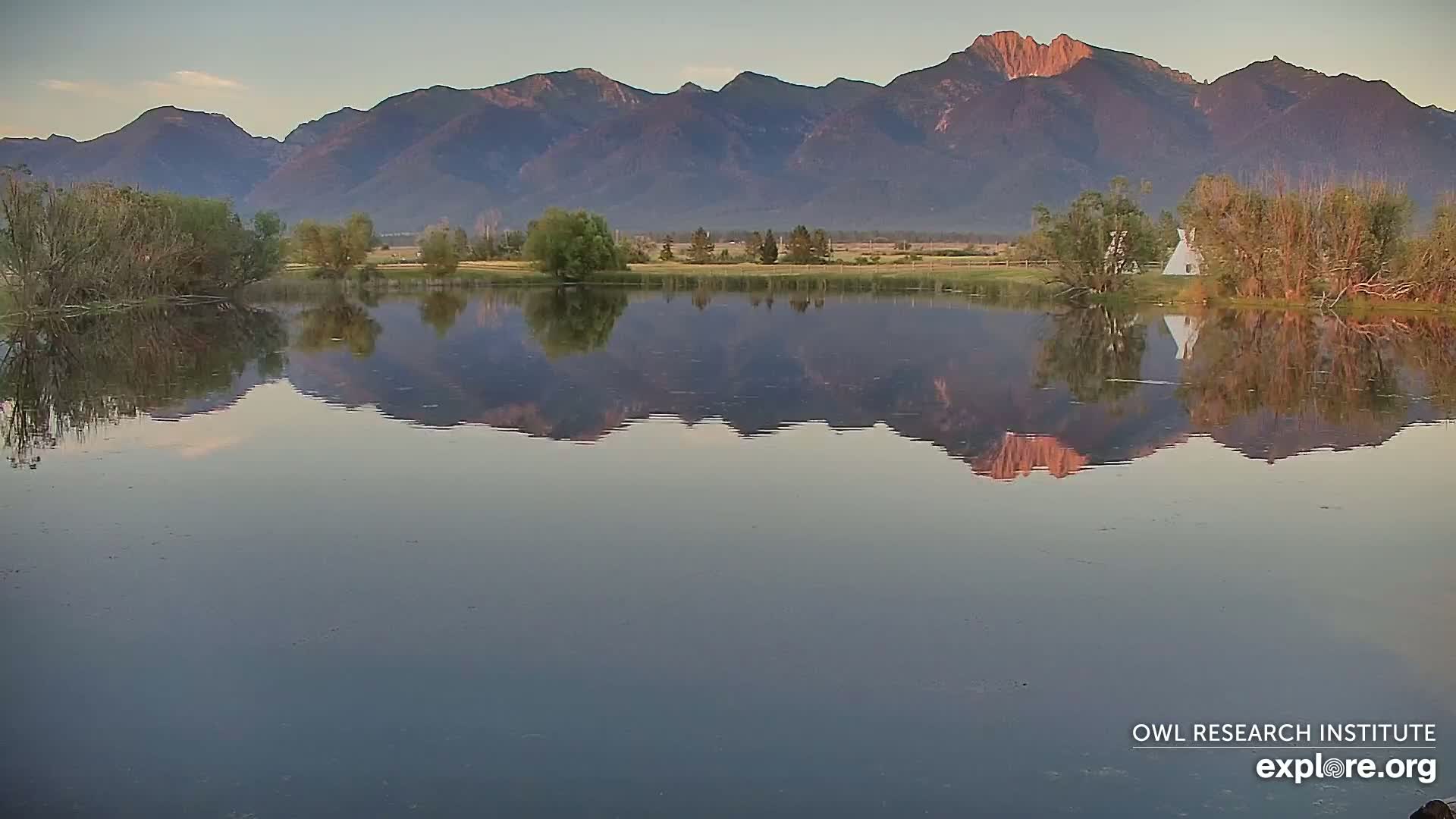 Mission Mountain Range & Mt Calowahcan View from Ninepipe Lodge Wildlife Refuge Live Cam - Charlo, Lake County, Montana, USA