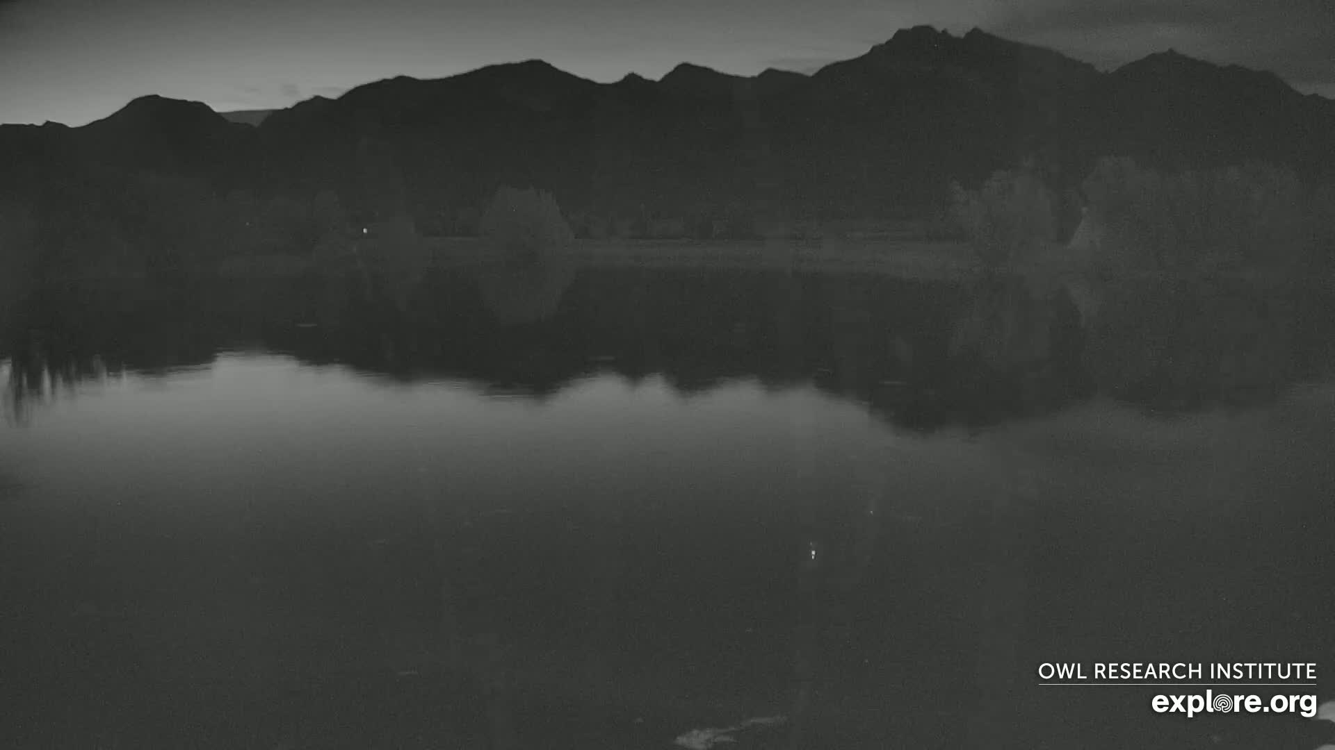 Mission Mountain Range & Mt Calowahcan View from Ninepipe Lodge Wildlife Refuge Live Cam - Charlo, Lake County, Montana, USA