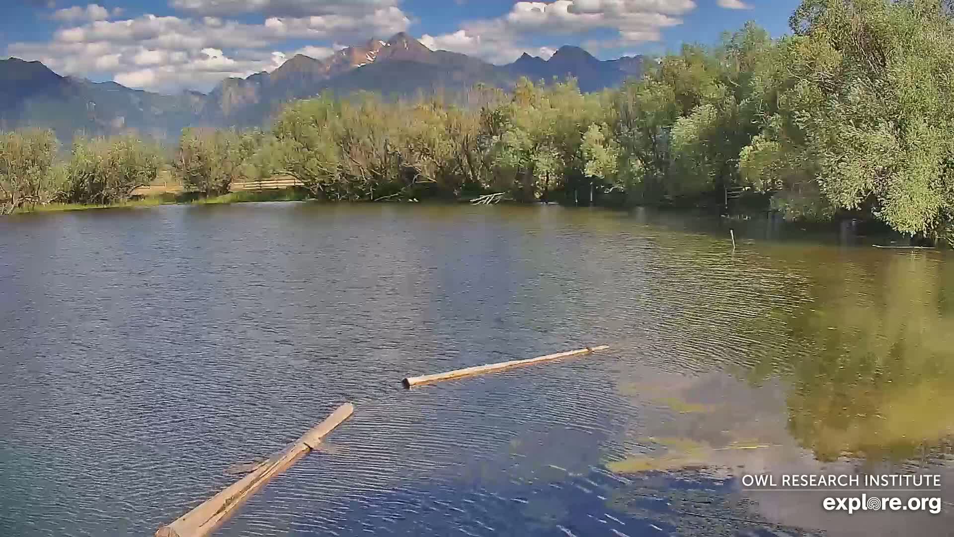 Mission Mountain Range & Mt Calowahcan View from Ninepipe Lodge Wildlife Refuge Live Cam - Charlo, Lake County, Montana, USA