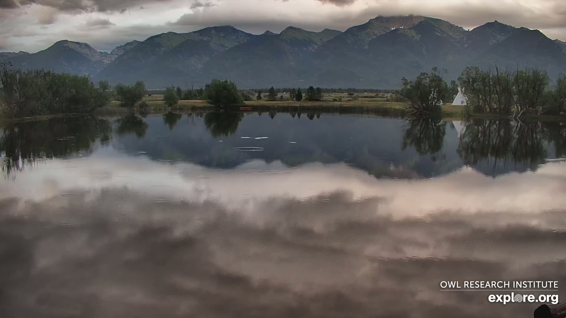 Mission Mountain Range & Mt Calowahcan View from Ninepipe Lodge Wildlife Refuge Live Cam - Charlo, Lake County, Montana, USA
