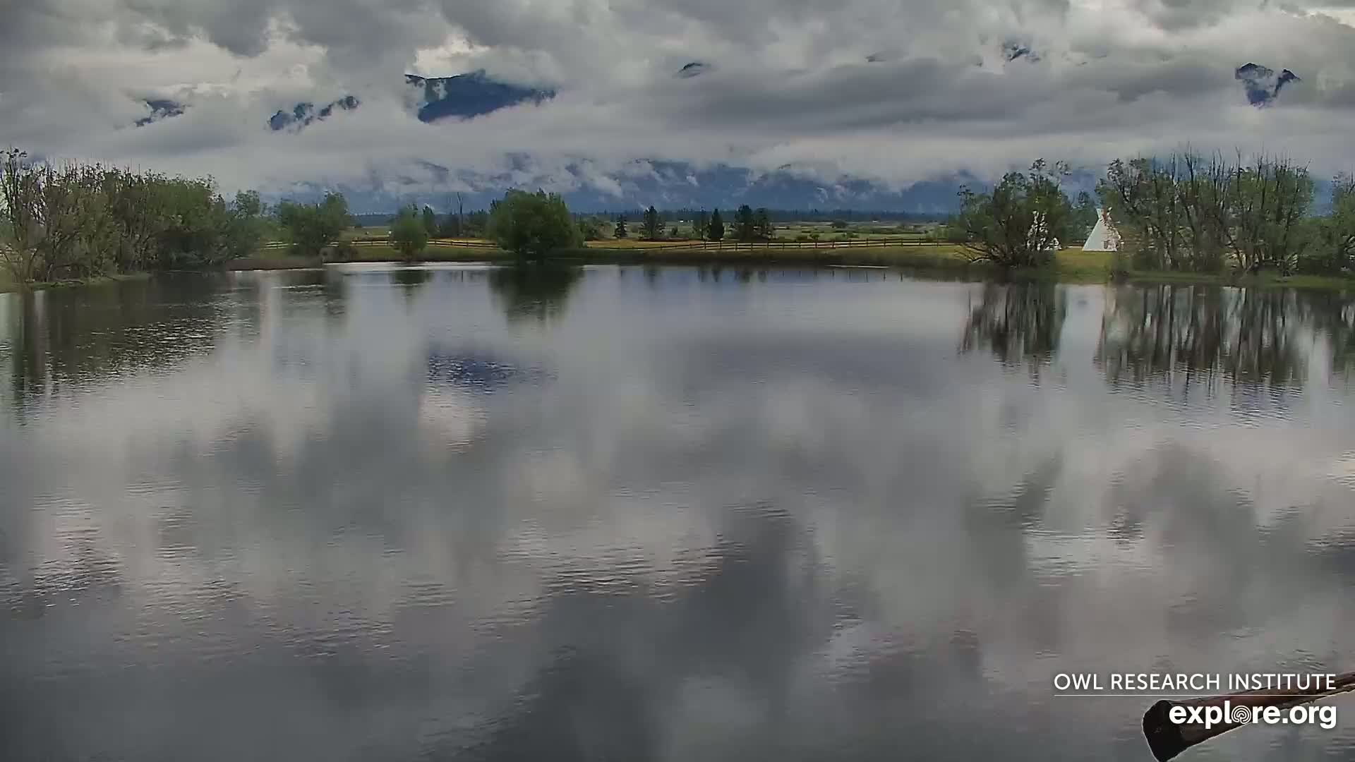 Mission Mountain Range & Mt Calowahcan View from Ninepipe Lodge Wildlife Refuge Live Cam - Charlo, Lake County, Montana, USA