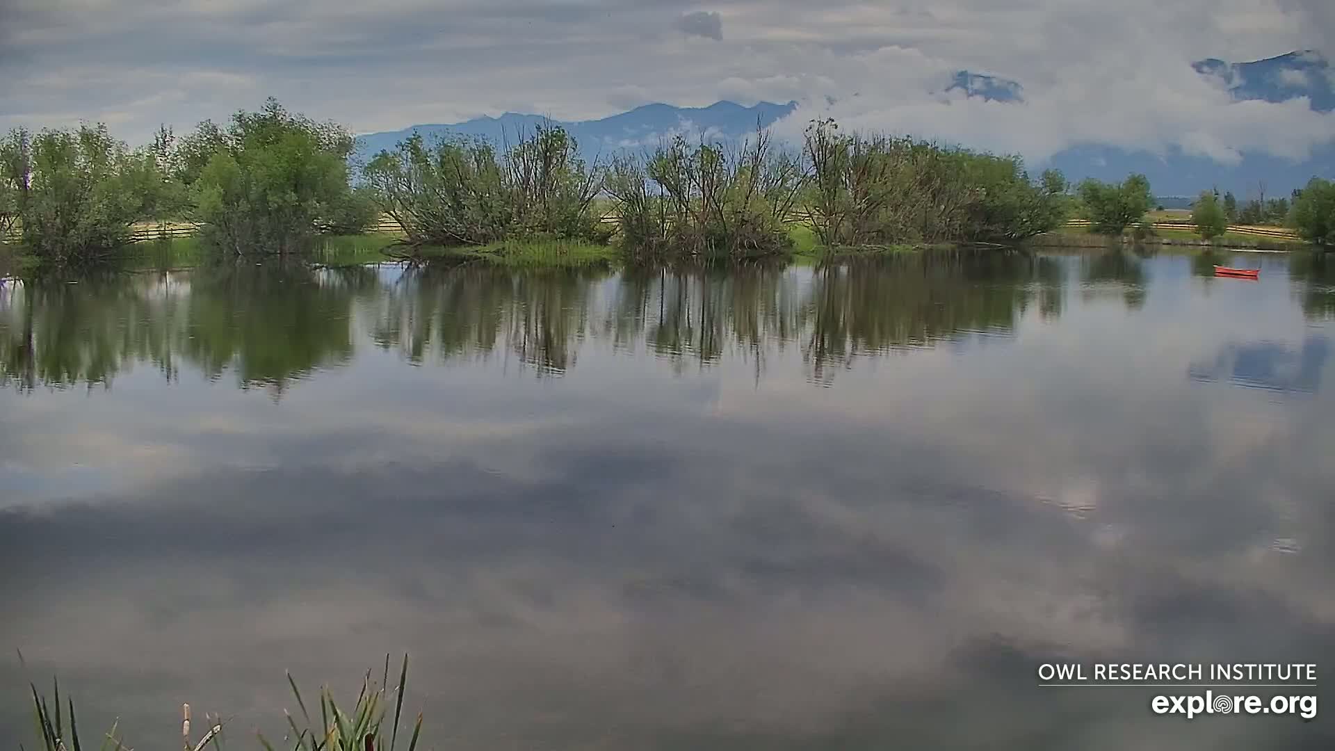 Mission Mountain Range & Mt Calowahcan View from Ninepipe Lodge Wildlife Refuge Live Cam - Charlo, Lake County, Montana, USA