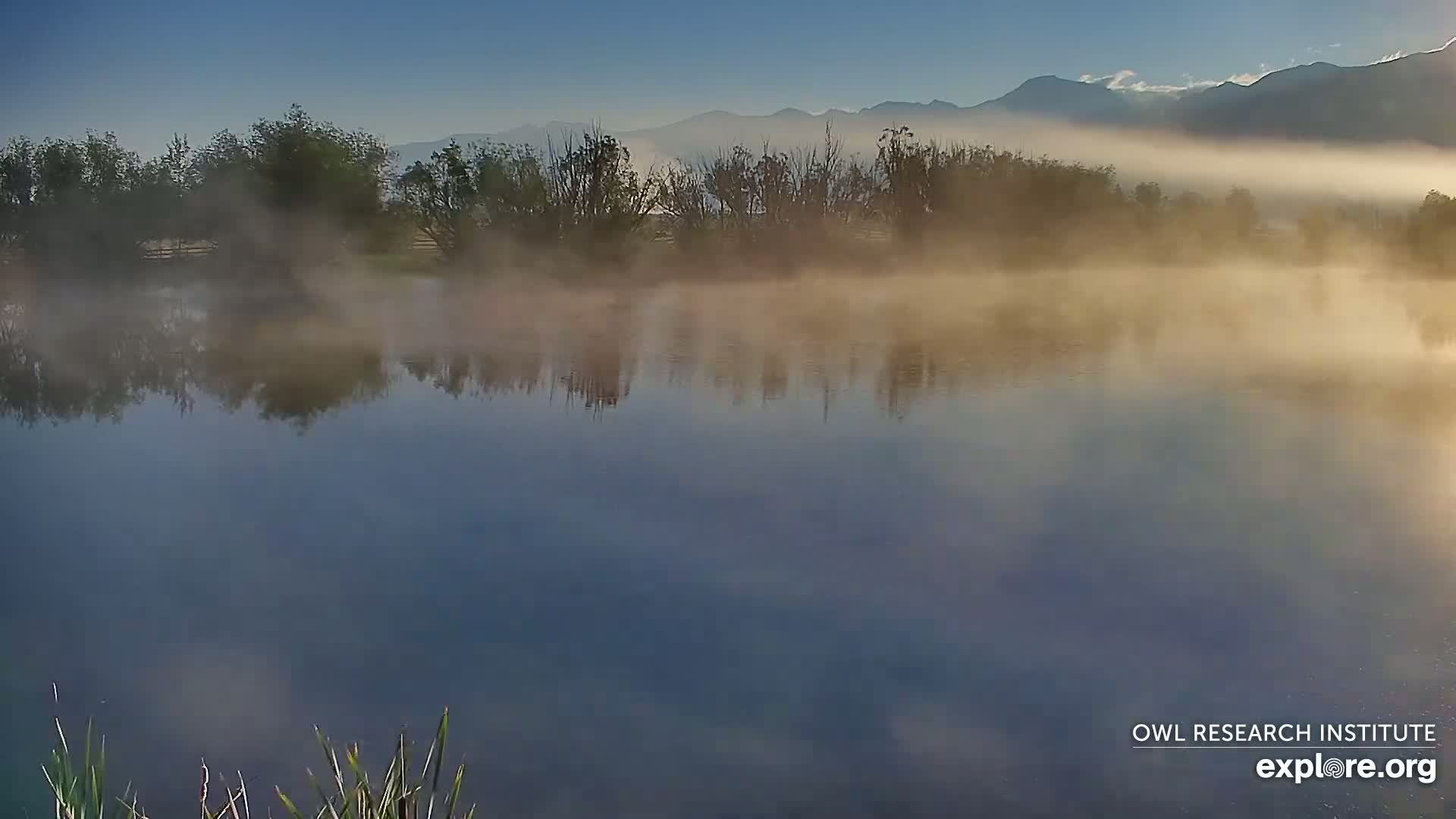 Mission Mountain Range & Mt Calowahcan View from Ninepipe Lodge Wildlife Refuge Live Cam - Charlo, Lake County, Montana, USA