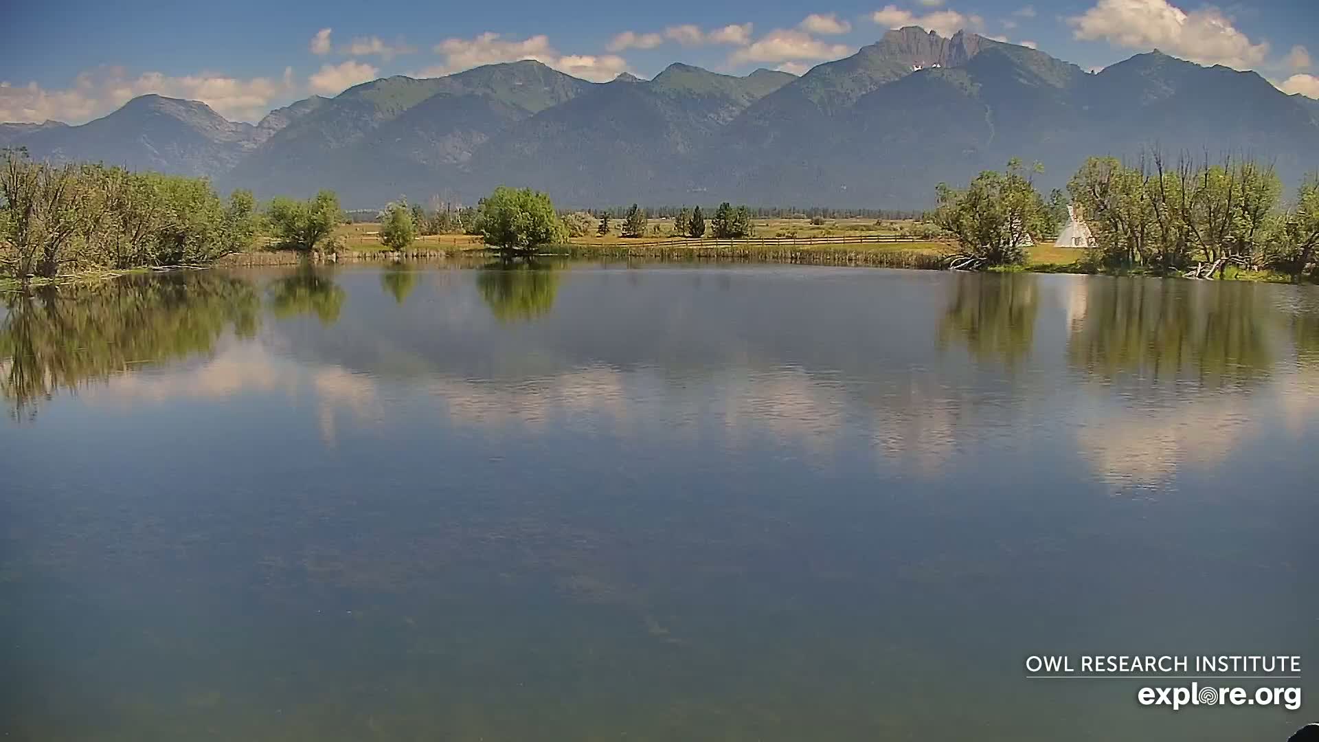 Mission Mountain Range & Mt Calowahcan View from Ninepipe Lodge Wildlife Refuge Live Cam - Charlo, Lake County, Montana, USA