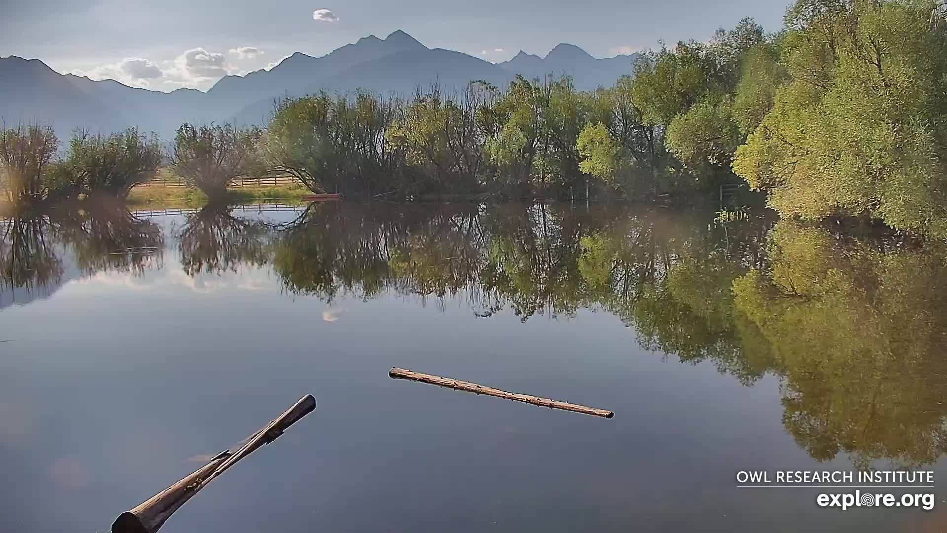 Mission Mountain Range & Mt Calowahcan View from Ninepipe Lodge Wildlife Refuge Live Cam - Charlo, Lake County, Montana, USA