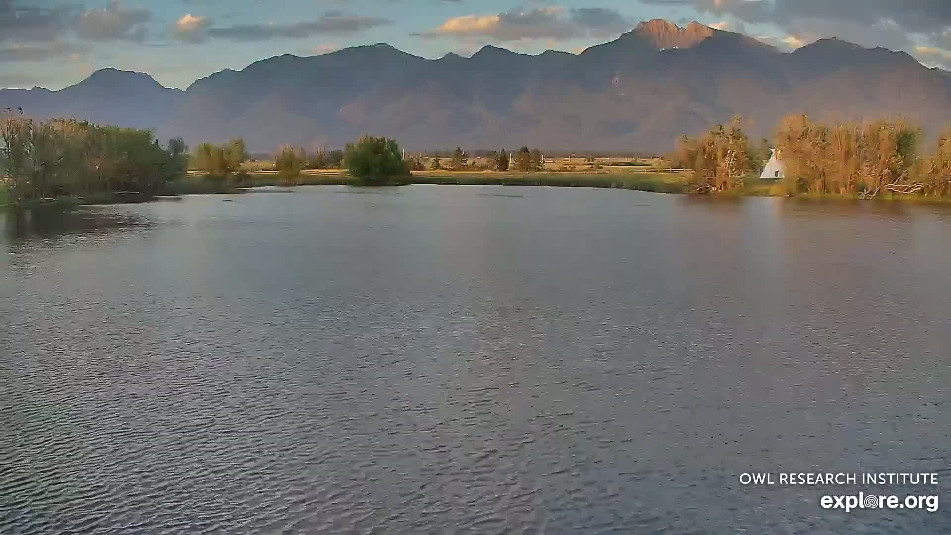 Mission Mountain Range & Mt Calowahcan View from Ninepipe Lodge Wildlife Refuge Live Cam - Charlo, Lake County, Montana, USA