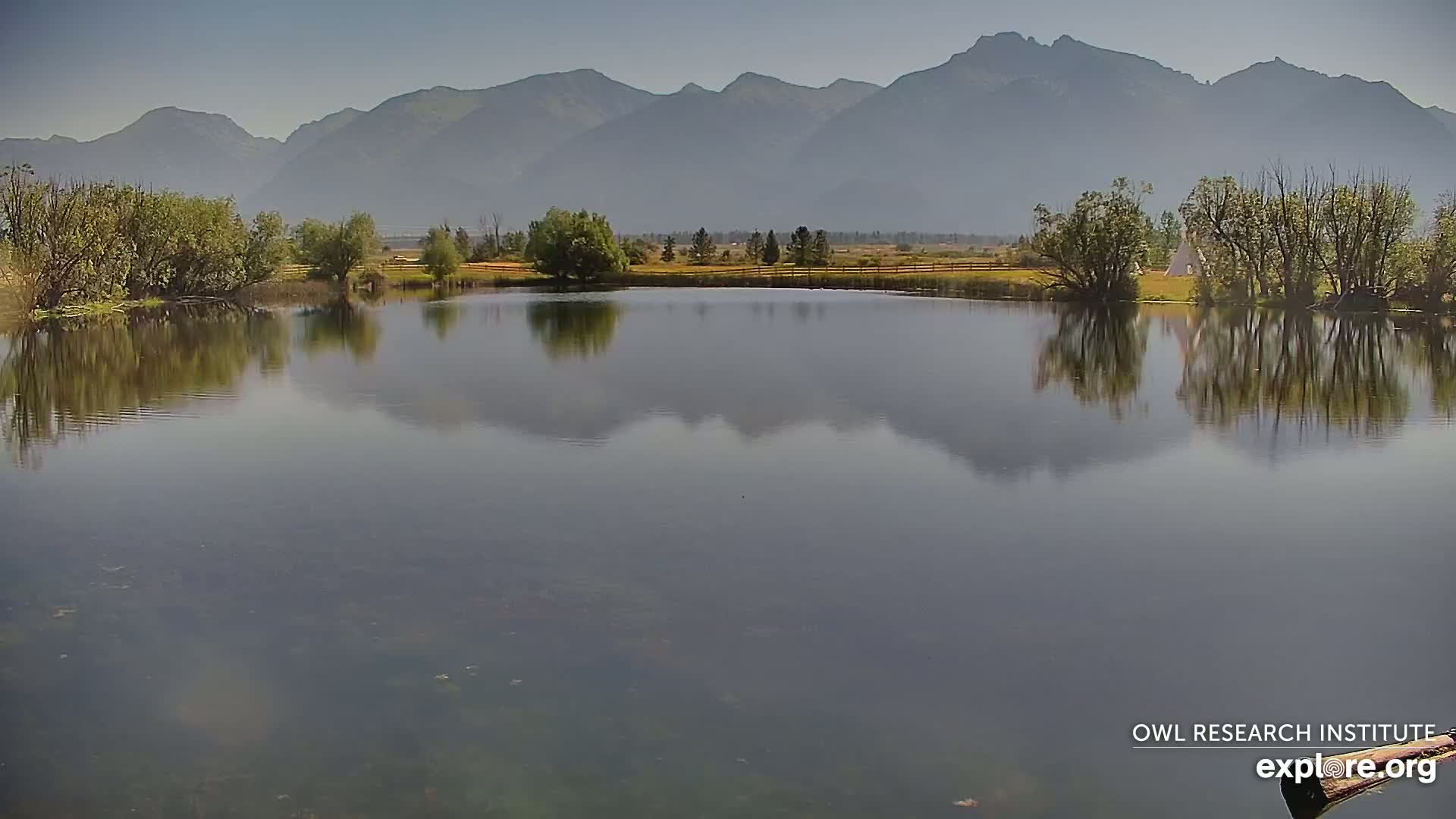 Mission Mountain Range & Mt Calowahcan View from Ninepipe Lodge Wildlife Refuge Live Cam - Charlo, Lake County, Montana, USA