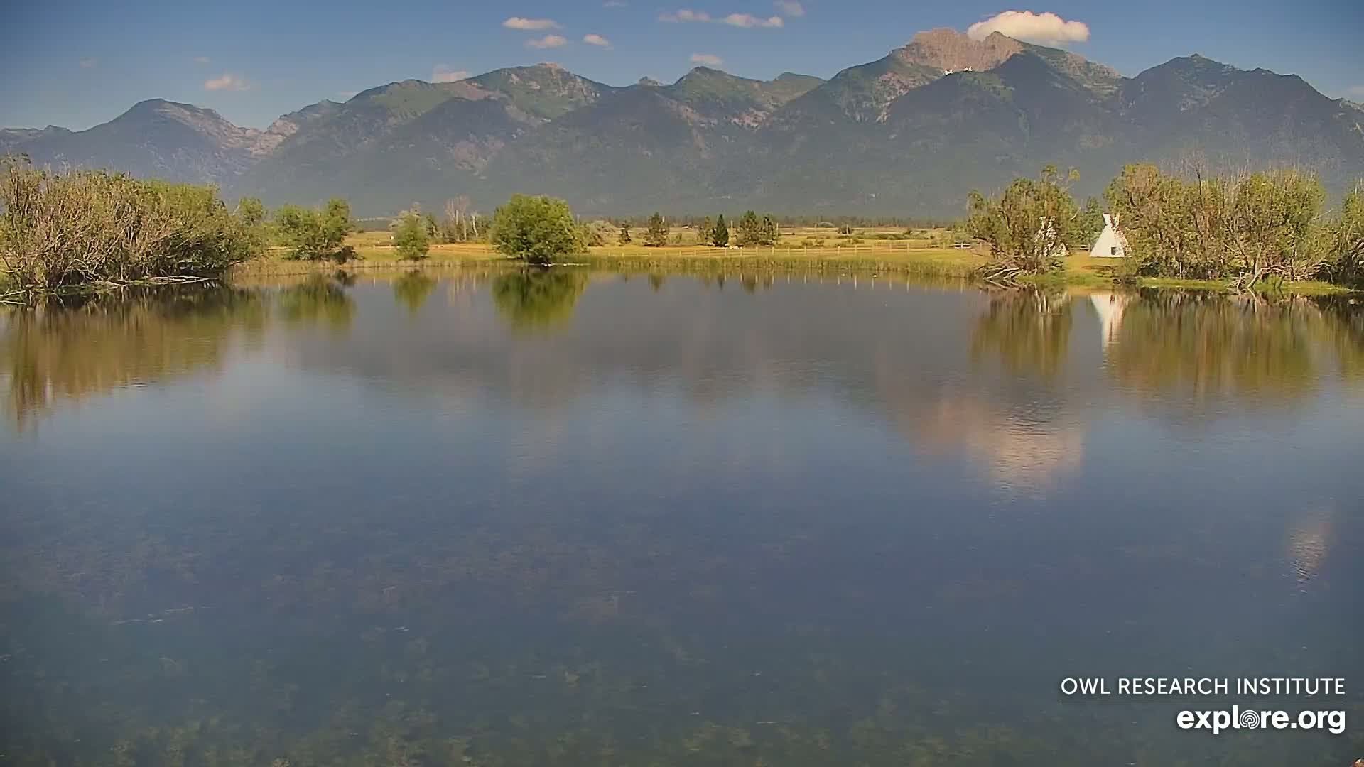 Mission Mountain Range & Mt Calowahcan View from Ninepipe Lodge Wildlife Refuge Live Cam - Charlo, Lake County, Montana, USA