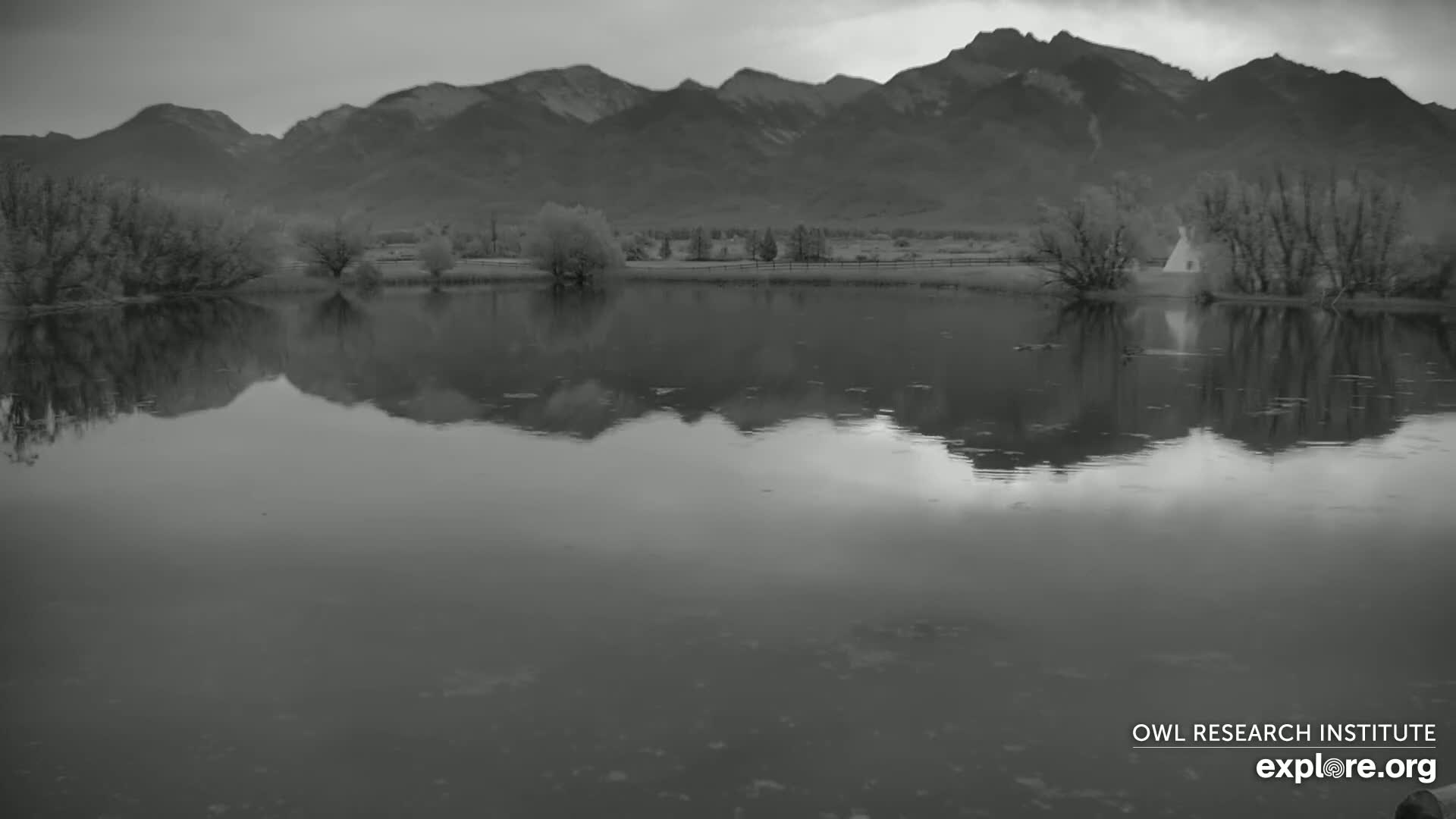 Mission Mountain Range & Mt Calowahcan View from Ninepipe Lodge Wildlife Refuge Live Cam - Charlo, Lake County, Montana, USA