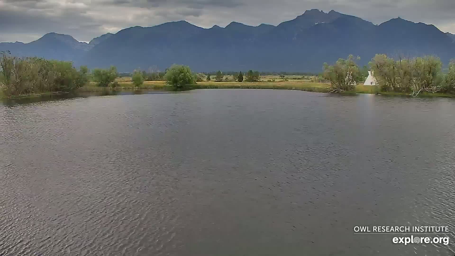 Mission Mountain Range & Mt Calowahcan View from Ninepipe Lodge Wildlife Refuge Live Cam - Charlo, Lake County, Montana, USA