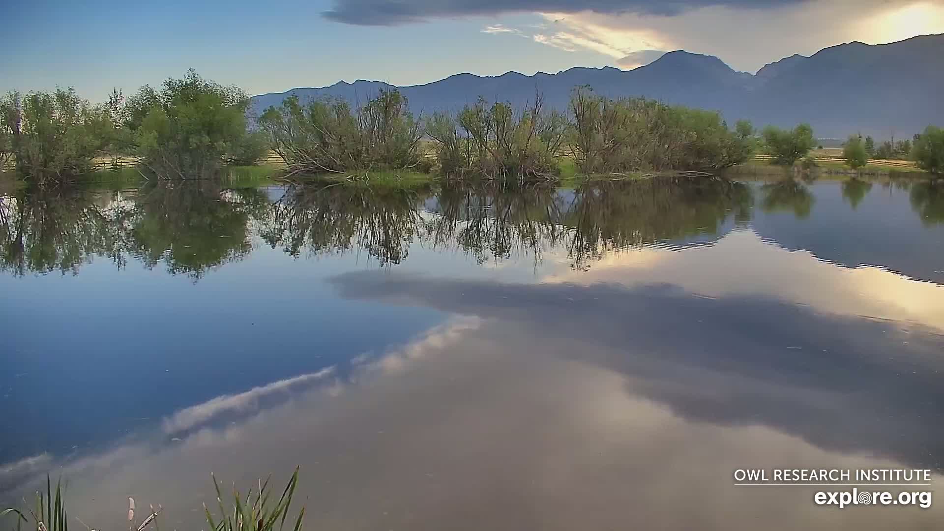 Mission Mountain Range & Mt Calowahcan View from Ninepipe Lodge Wildlife Refuge Live Cam - Charlo, Lake County, Montana, USA