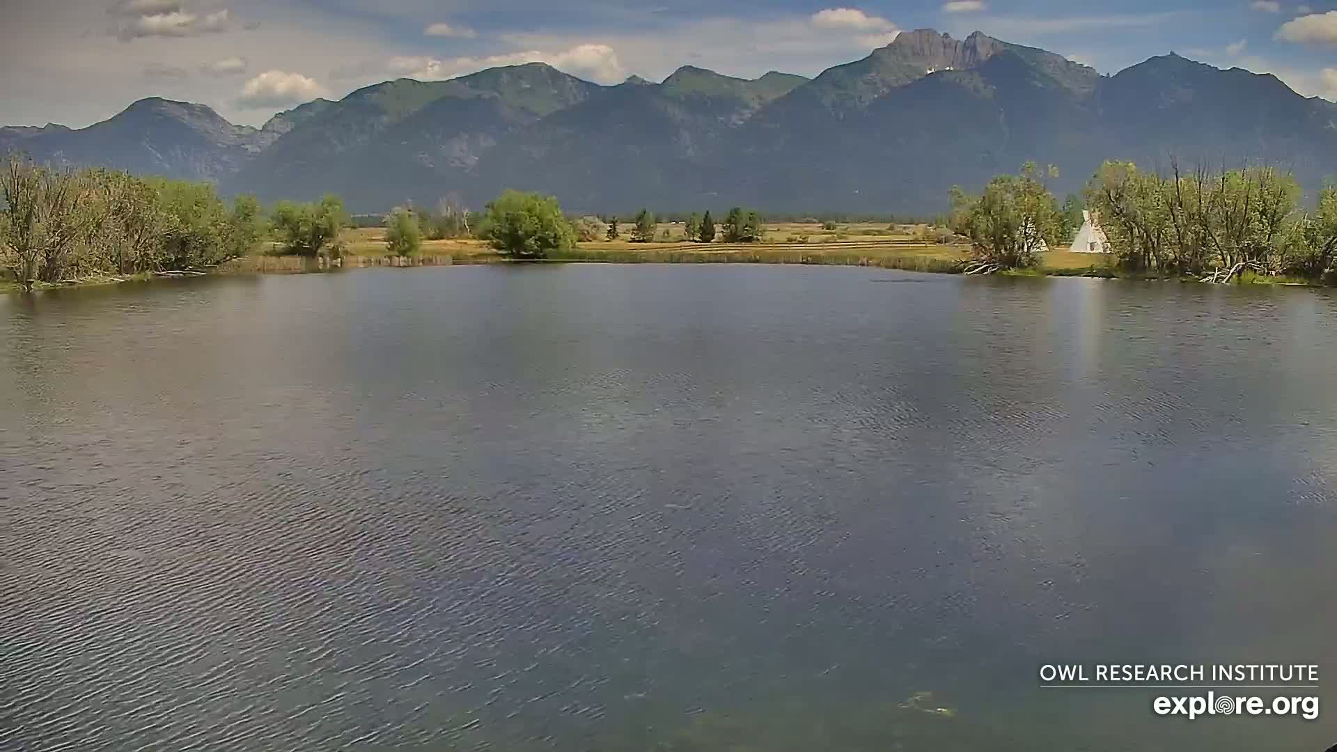 Mission Mountain Range & Mt Calowahcan View from Ninepipe Lodge Wildlife Refuge Live Cam - Charlo, Lake County, Montana, USA