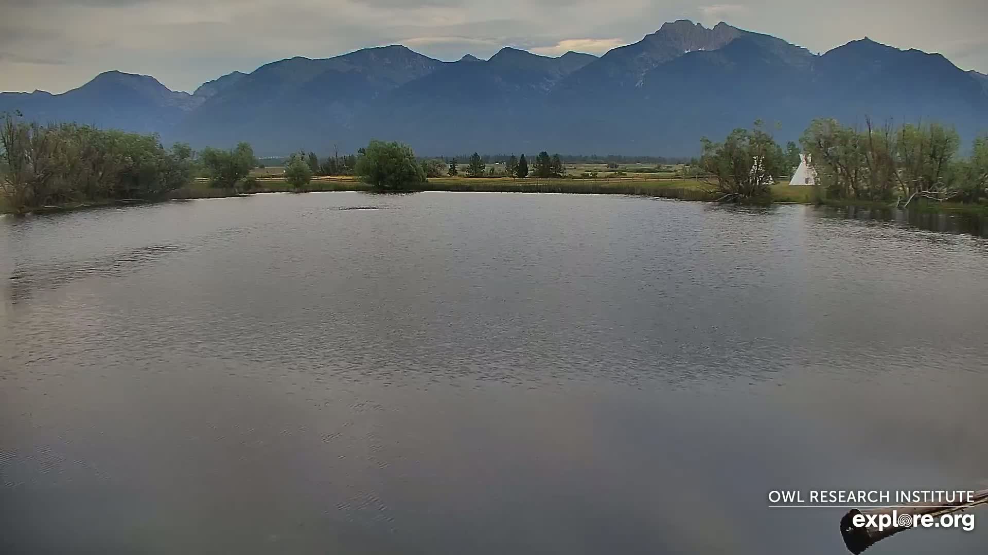Mission Mountain Range & Mt Calowahcan View from Ninepipe Lodge Wildlife Refuge Live Cam - Charlo, Lake County, Montana, USA